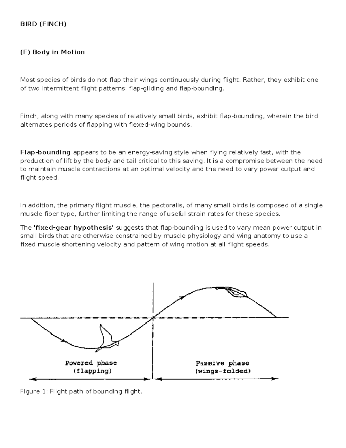 Finch Earth Science - BIRD (FINCH) (F) Body in Motion Most species of ...