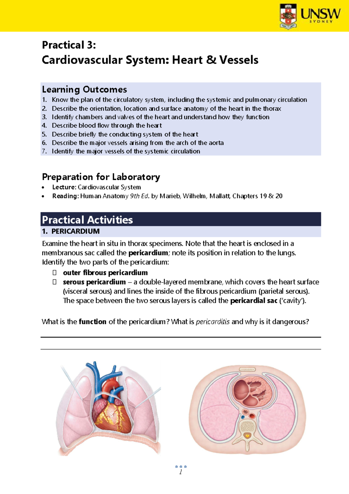 Lab 3 - Cardiovascular System 2024 - Practical 3: Cardiovascular System ...