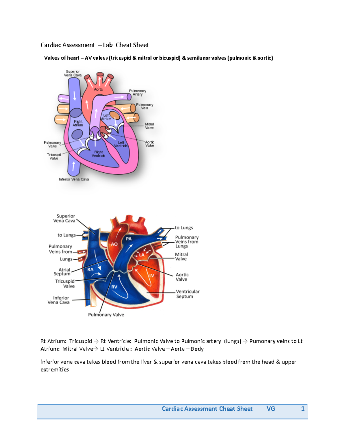 Cardiac Assessment Cheat Sheet - Cardiac Assessment Cheat Sheet Vg 1 