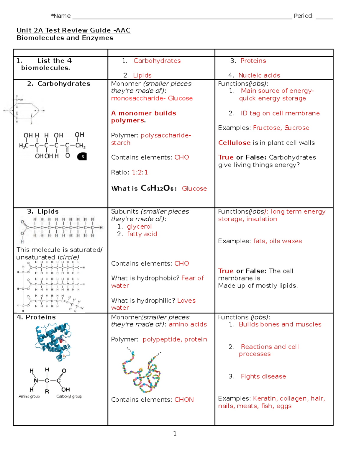 Biomolecule+and+Enzyme+Review++AAC+key *Name Studocu