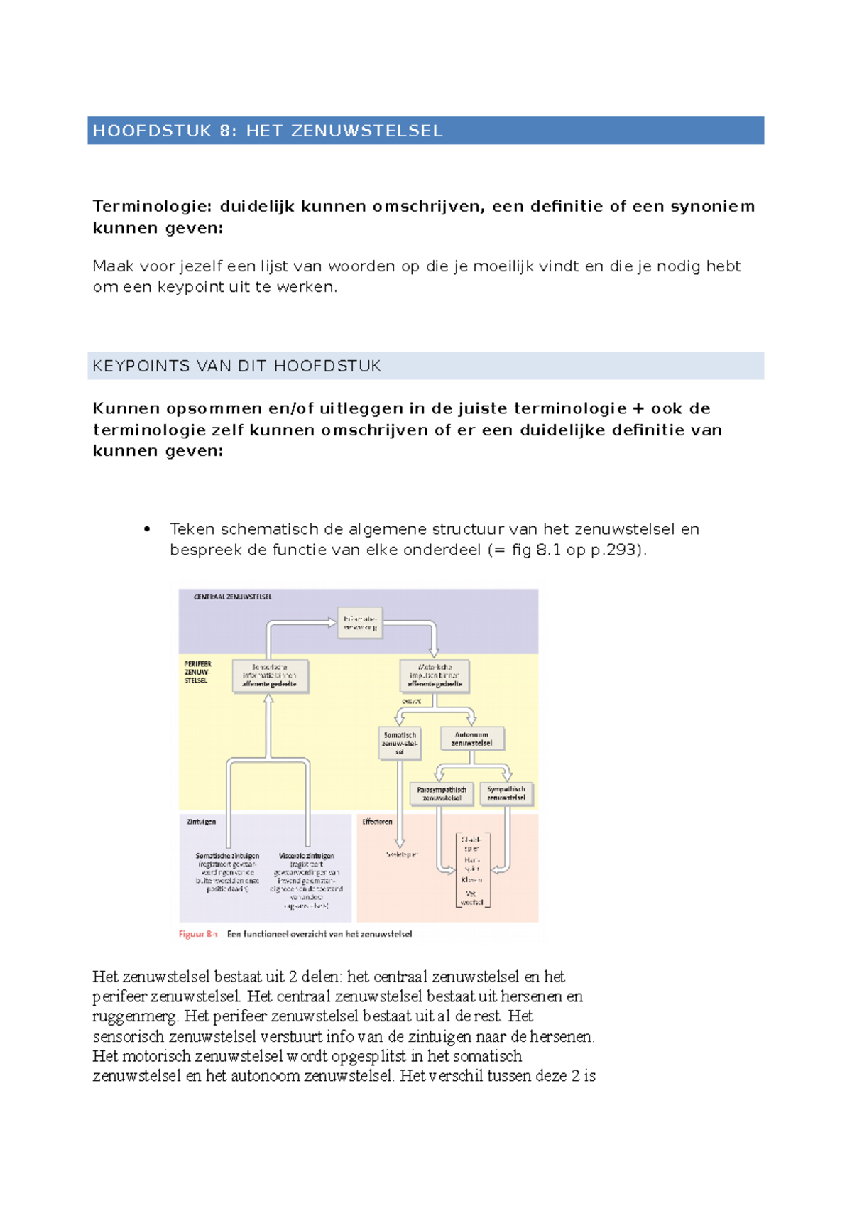 Keypoints Hoofdstuk 8 Anatomie 1 - HOOFDSTUK 8: HET ZENUWSTELSEL ...