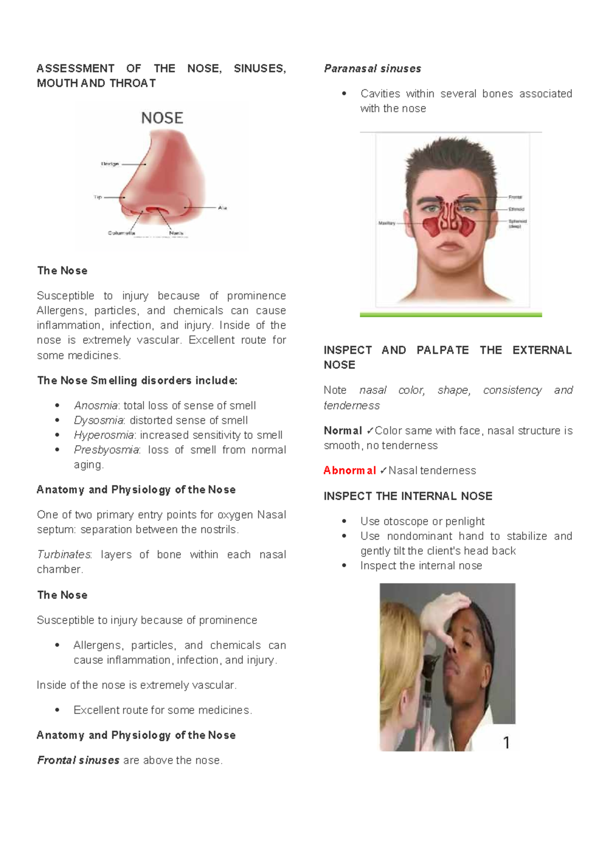 Assessment OF THE NOSE - ASSESSMENT OF THE NOSE, SINUSES, MOUTH AND ...