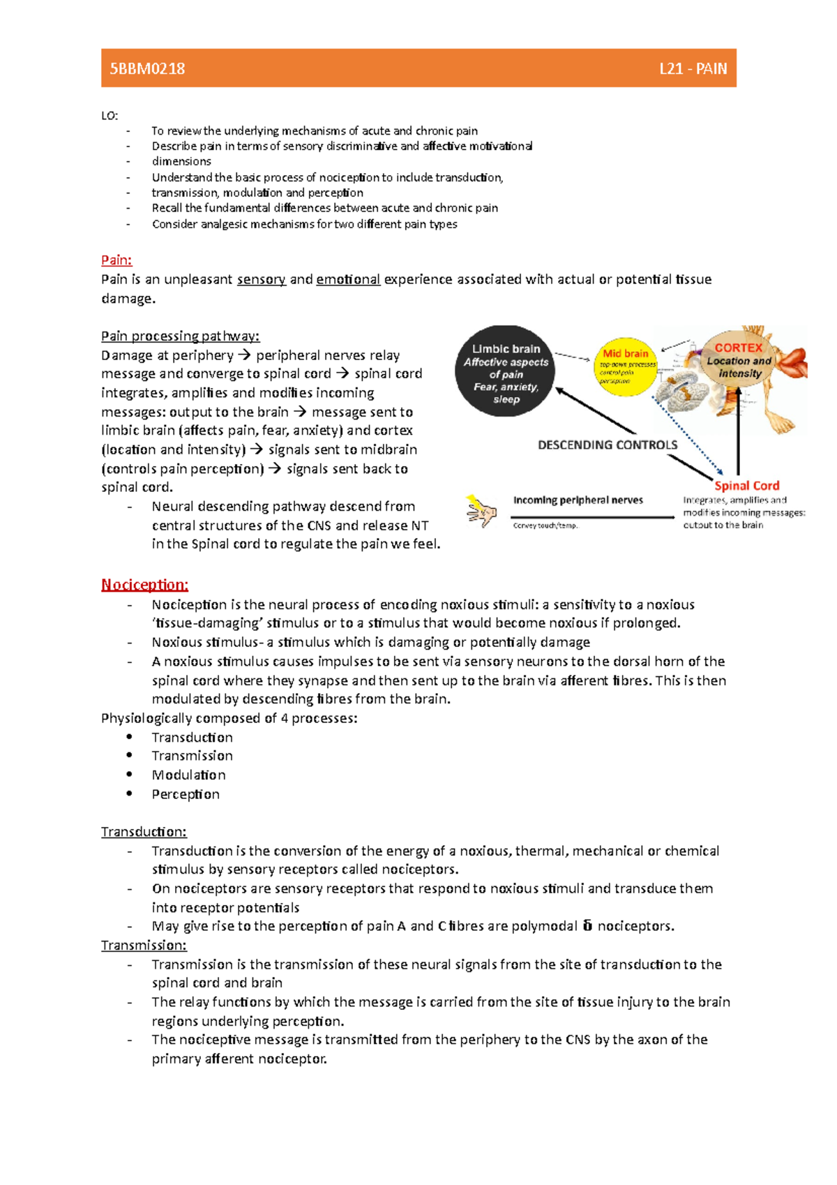 Lecture21 - Pain - LO: - To review the underlying mechanisms of acute ...