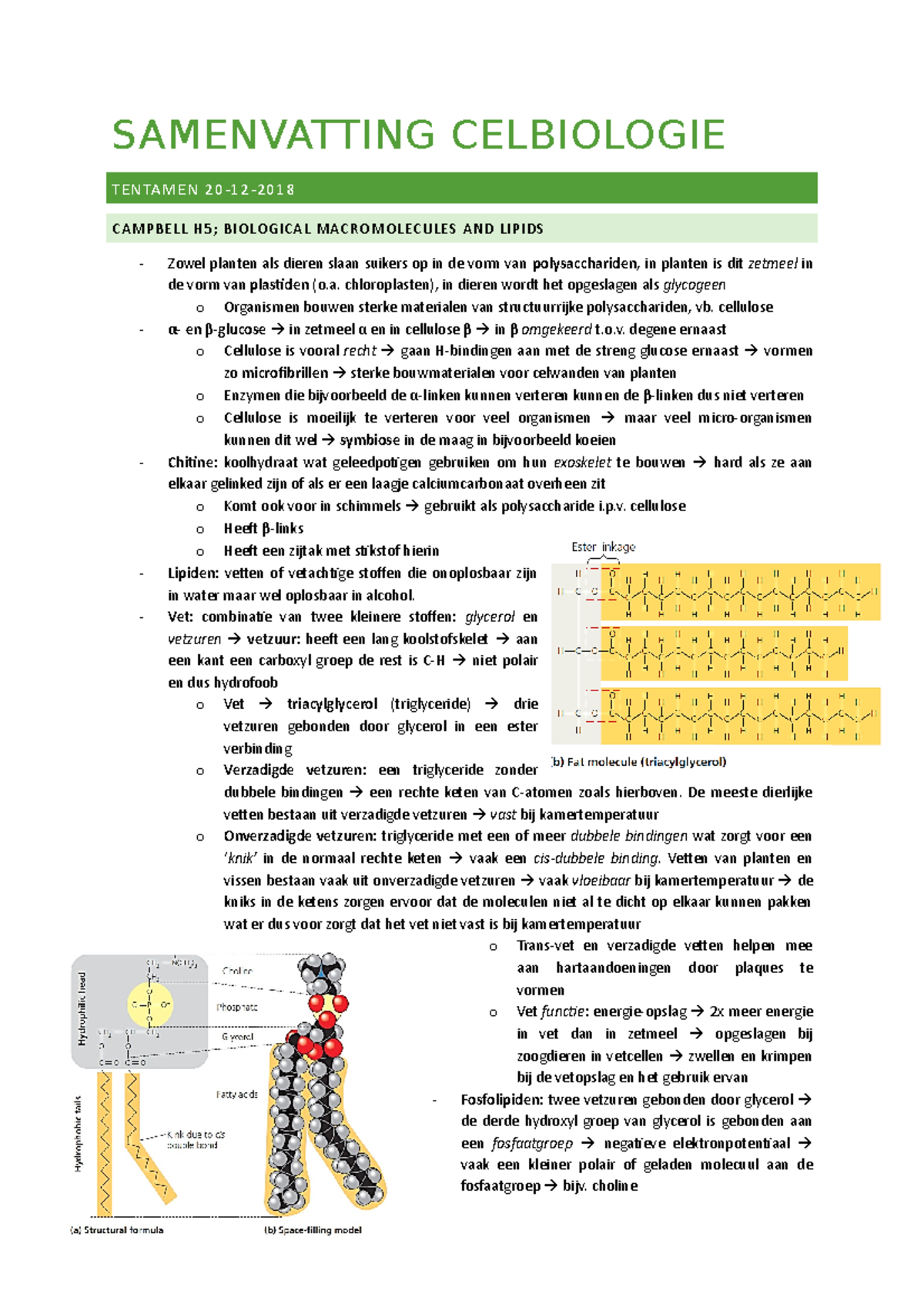 2018 1212 Samenvatting Celbiologie - SAMENVATTING CELBIOLOGIE TENTAMEN ...