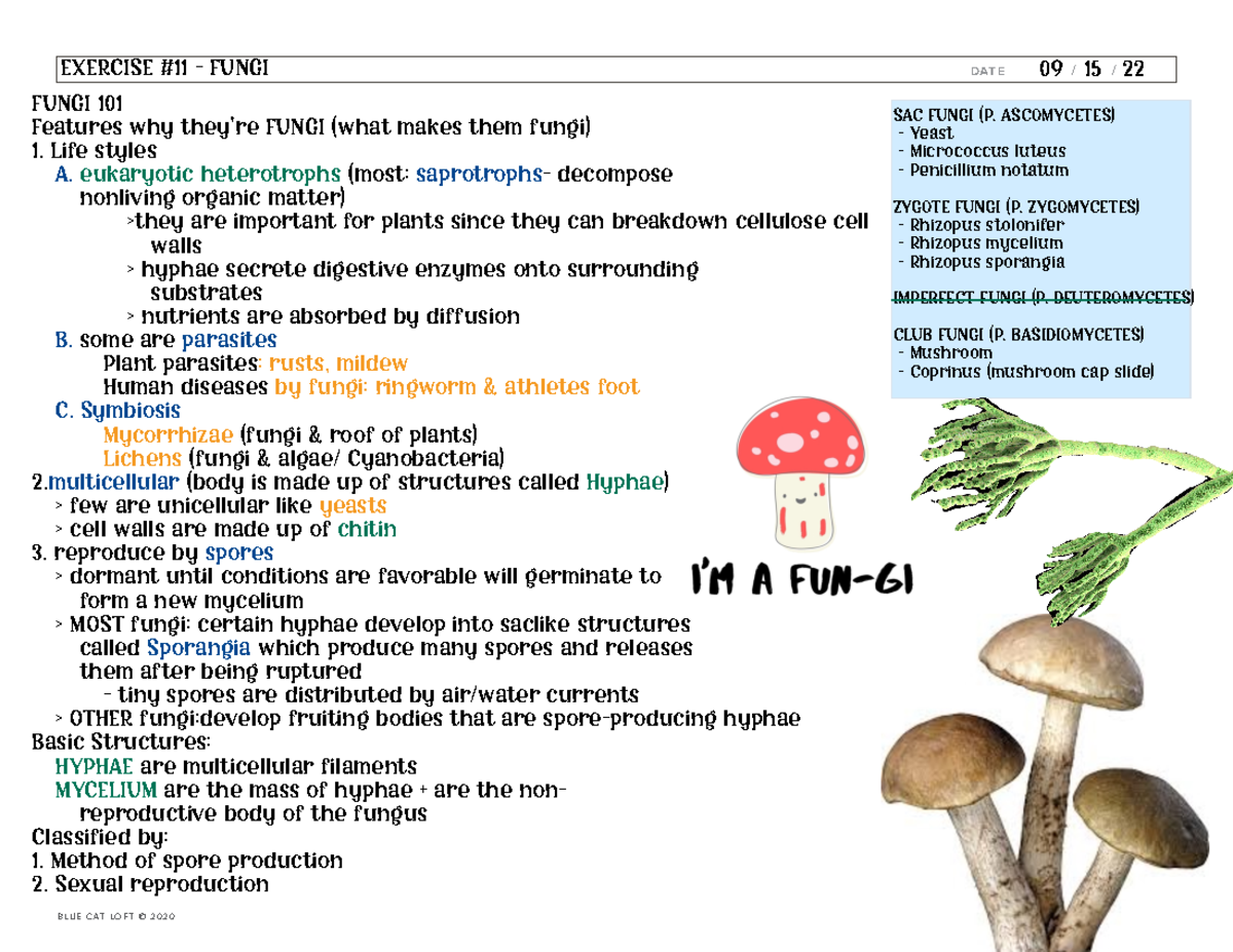 Exercise #11: Kingdom Fungi - B LU E CAT LOFT © 2020 1 2 3 4 5 6 7 ...