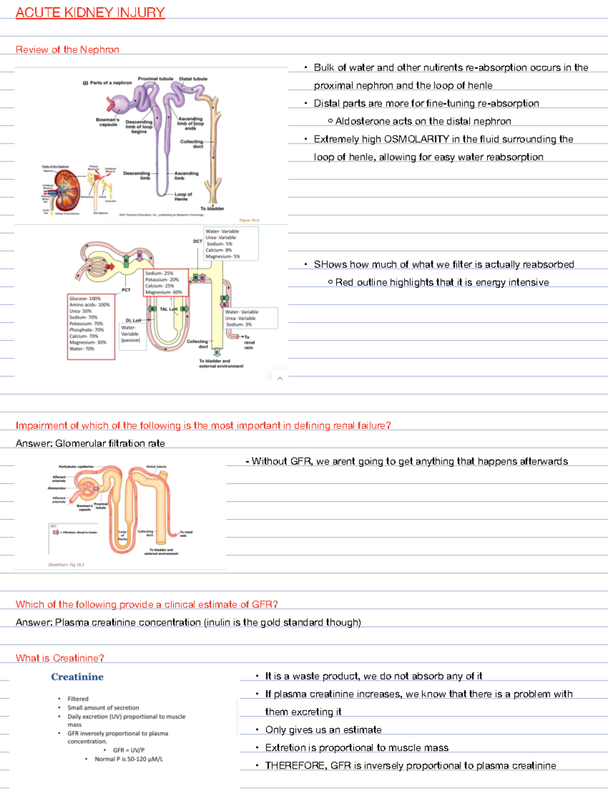 Lecture-5-Notes - 🗿🗿🗿🗿🗿🗿🗿🗿 - ACUTE KIDNEY INJURY Review of the Nephron ...