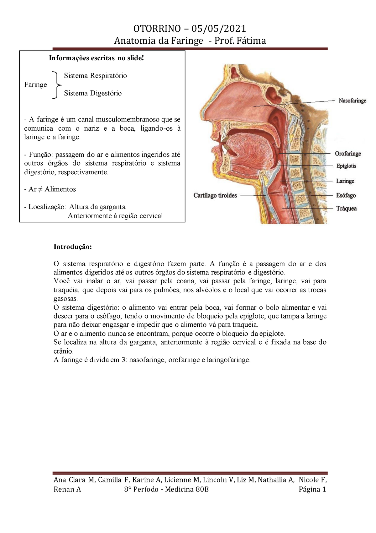 Anatomia da faringe pdf OTORRINO Anatomia da Faringe Prof Fátima Ana Clara M