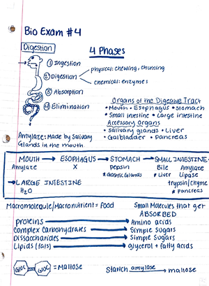 WVU Bio 102 Exam 3 - WVU Bio 102 With Professor Elizabeth Thomas. Notes ...