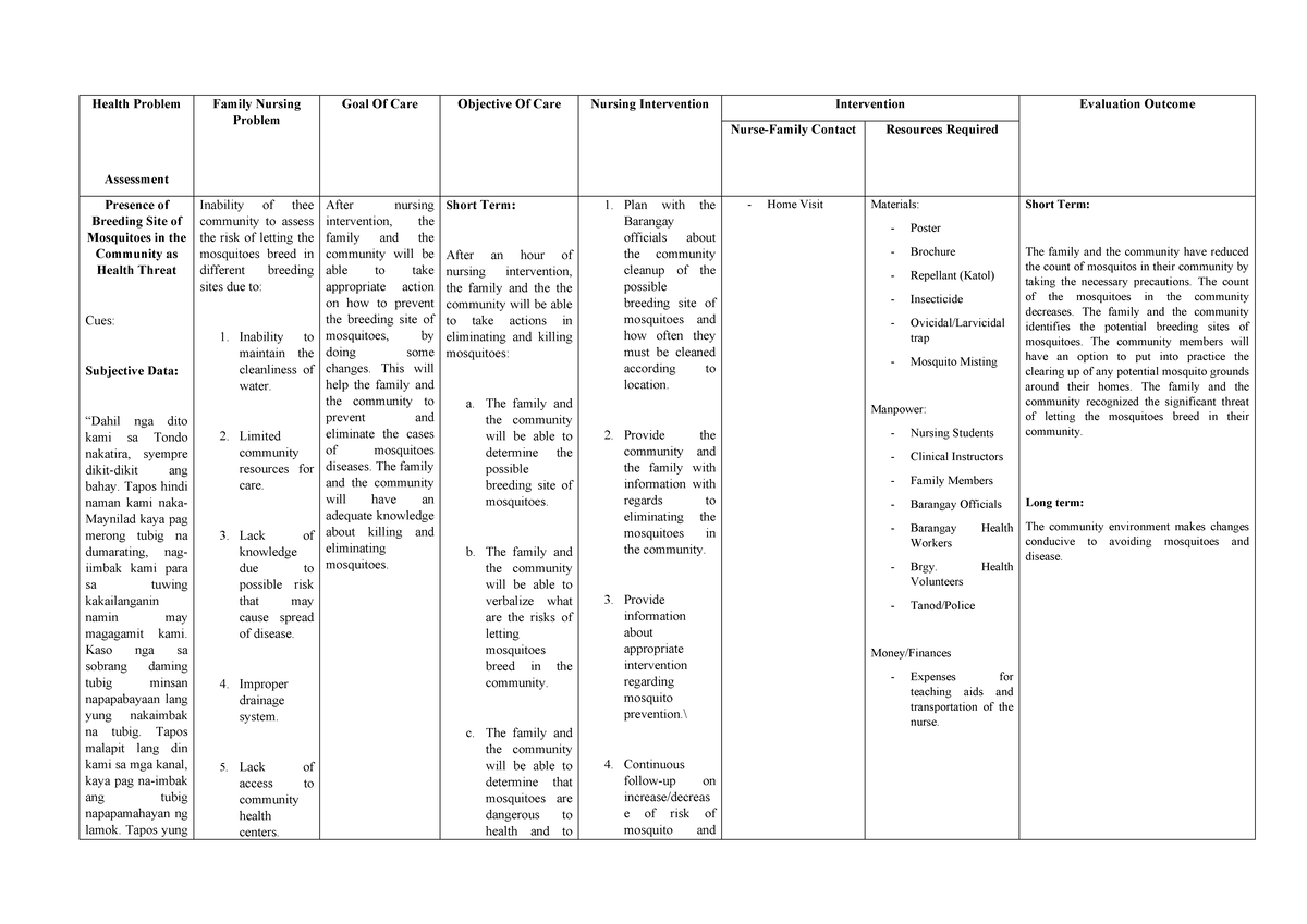 Family Nursing Care Plan - Health Problem Assessment Family Nursing ...