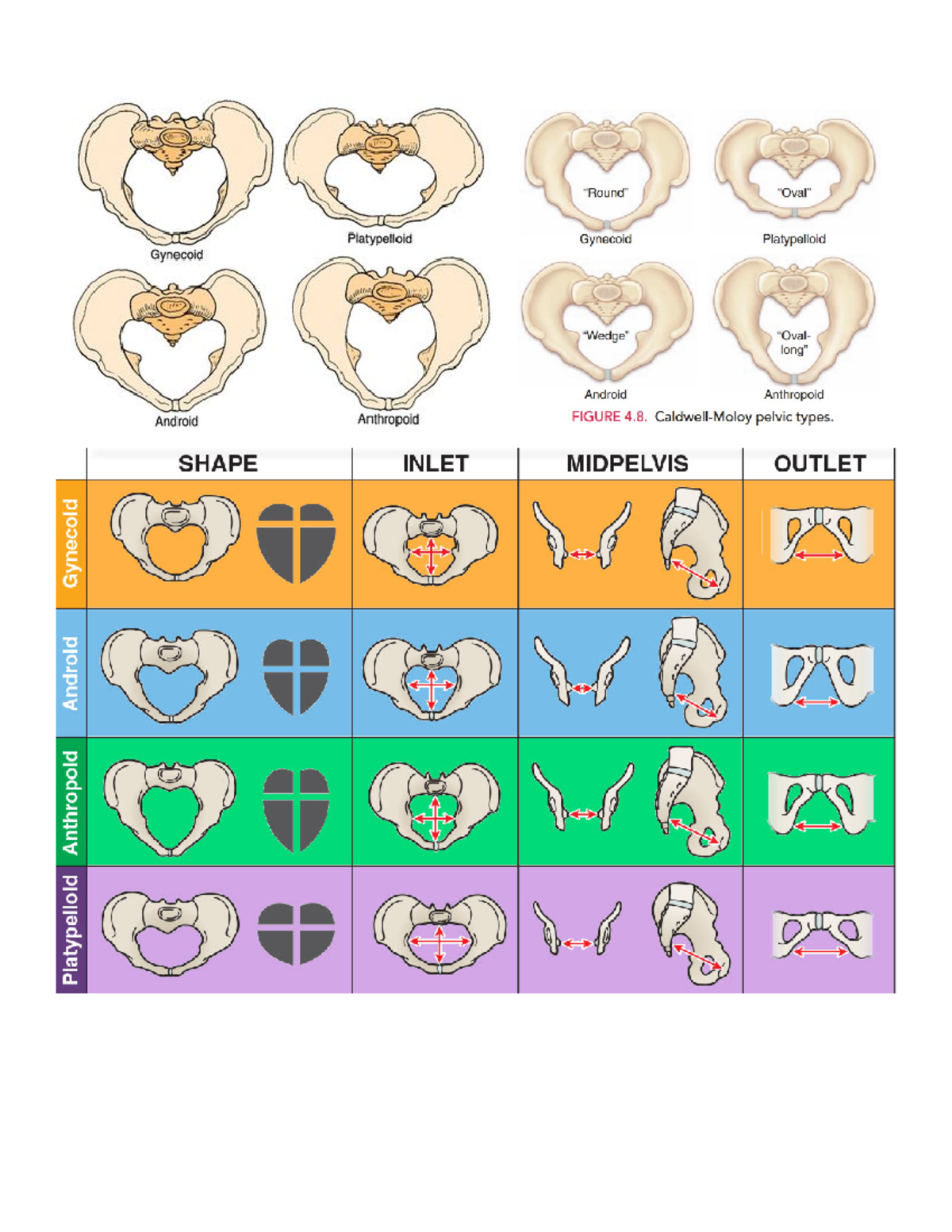 Phases of Stage 1 of Labor - PHASES OF STAGE 1 OF LABOR LATENT PHASE ...