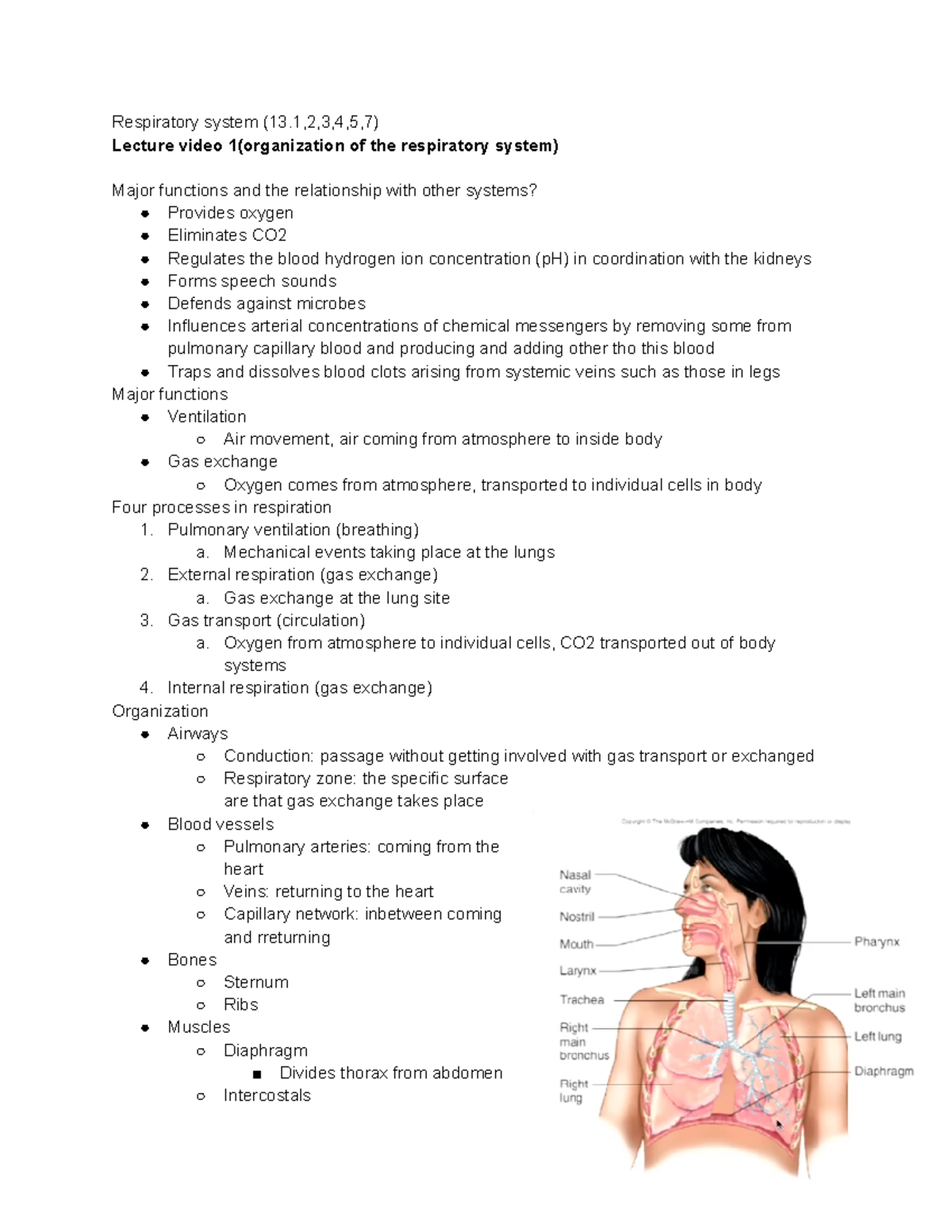 BISC276 exam 3 - exam 3 - Respiratory system (13,2,3,4,5,7) Lecture ...