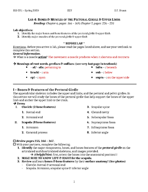 BIO 221 lab 3 - bones & muscles of the axial skeleton (Spring 2020)(KEY ...