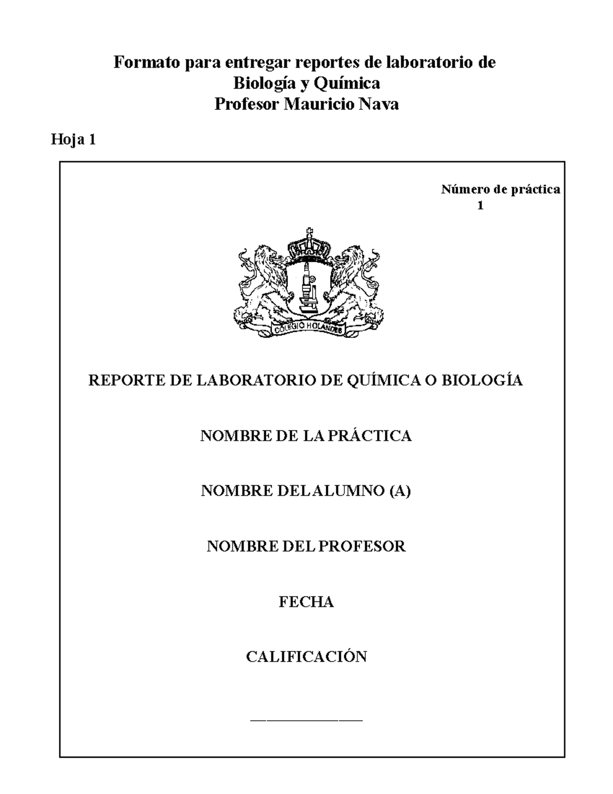 Formato Reportes De Laboratorio - Formato Para Entregar Reportes De ...