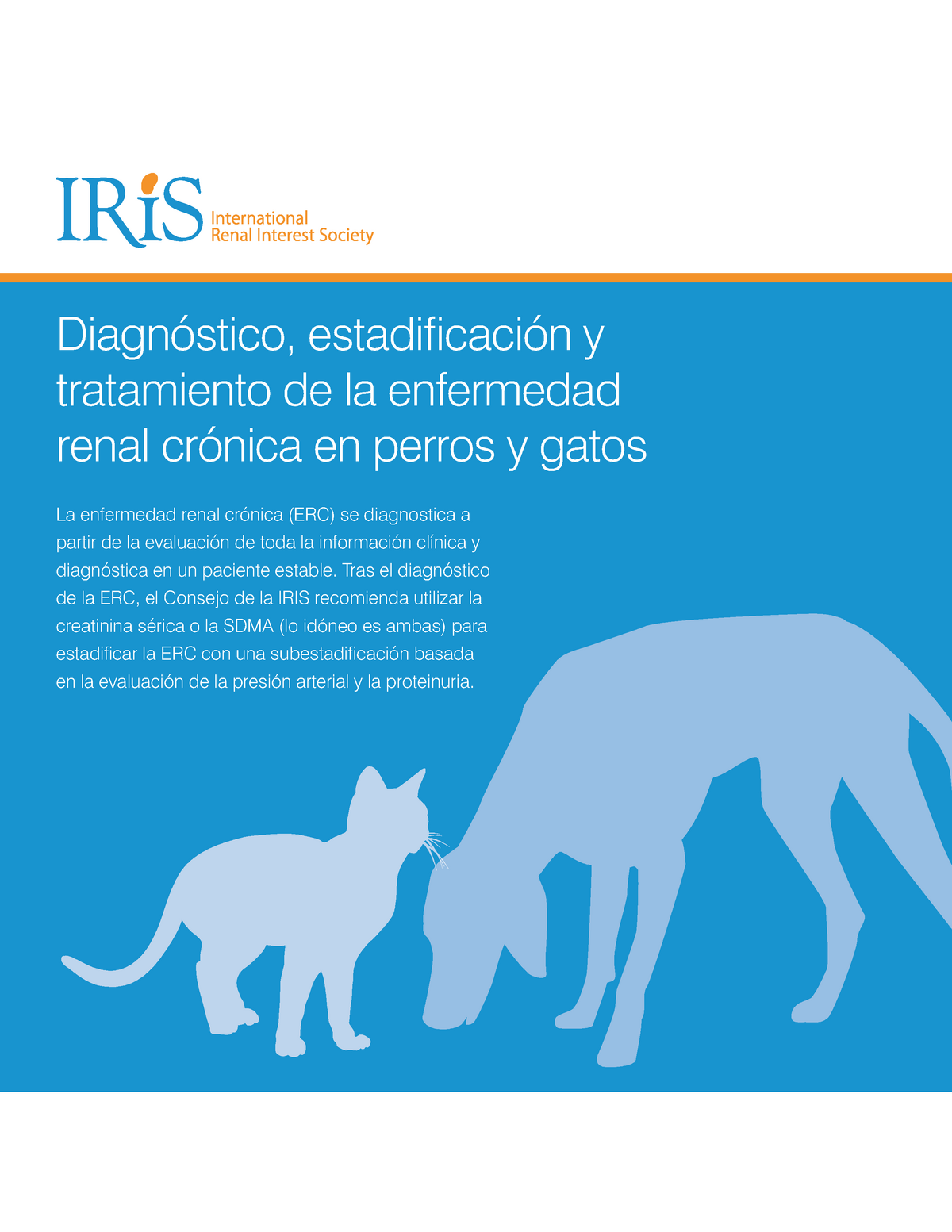 Descendencia Licuar vertical Estadificación IRIS enf. renal Crónica - La enfermedad renal crónica (ERC)  se diagnostica a partir - StuDocu