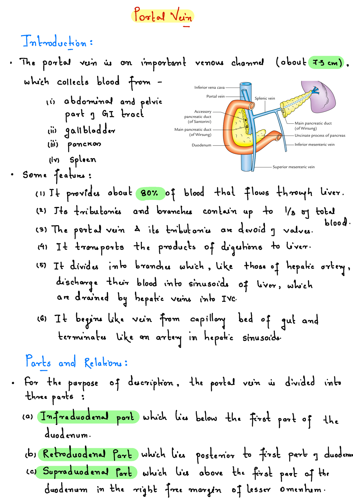 Abdominal Organ - Portal Vein - Portal Vein ####### Introduction : The ...