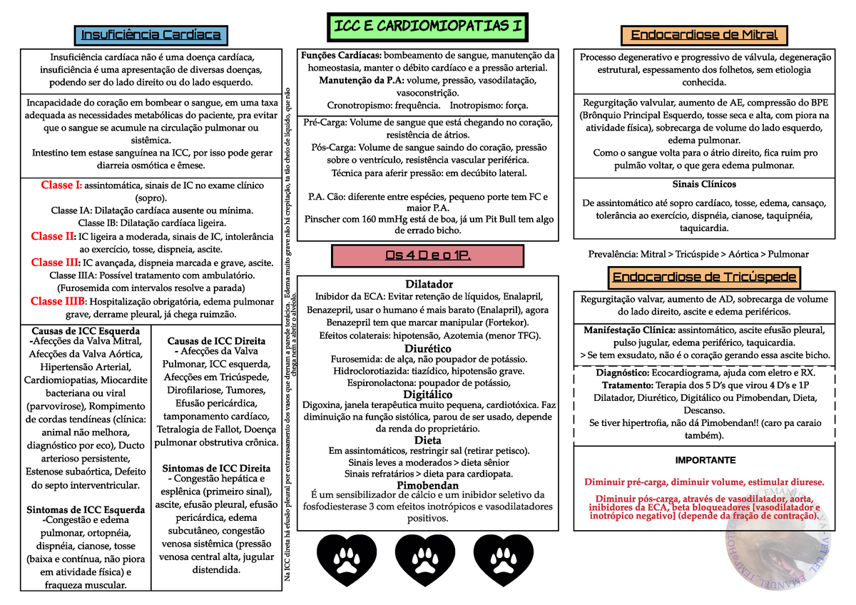 Icc E Cardiomiopatias Em Animais De Companhia Studocu