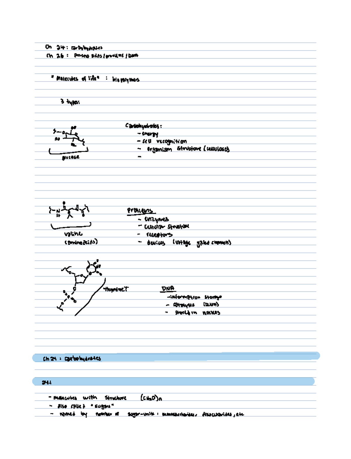 Ch 24 lecture notes - Ch 24 carbohydrates Ch 26 aminoacidsprotiens Dna ...