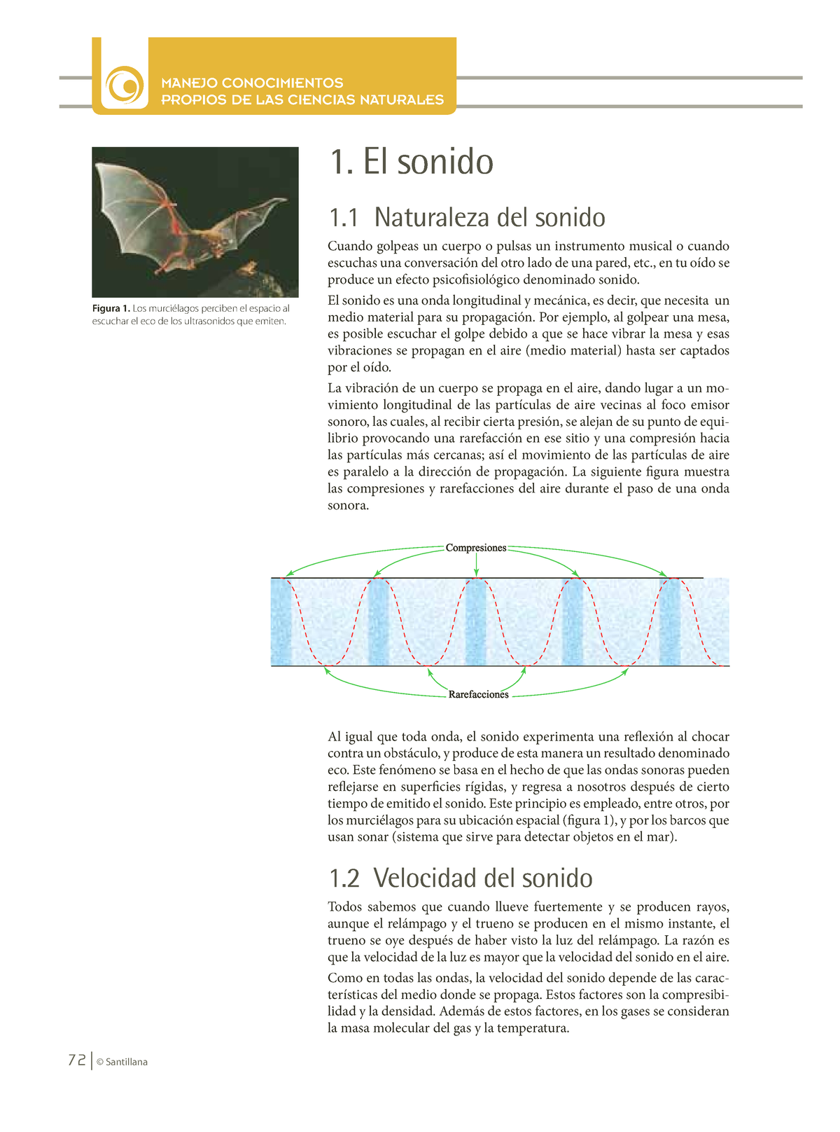 GAES Argentina - ¿Lo conocen? ¡Es un reloj despertador que tiene una luz  intermitente de alta intensidad, un potente sistema de vibración, alarma  sonora extrafuerte, un sistema de iluminación nocturna, una batería