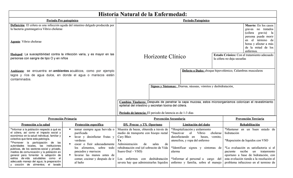 HNE Colera, descripcion de la enfermedad de la colera - Enfermeria