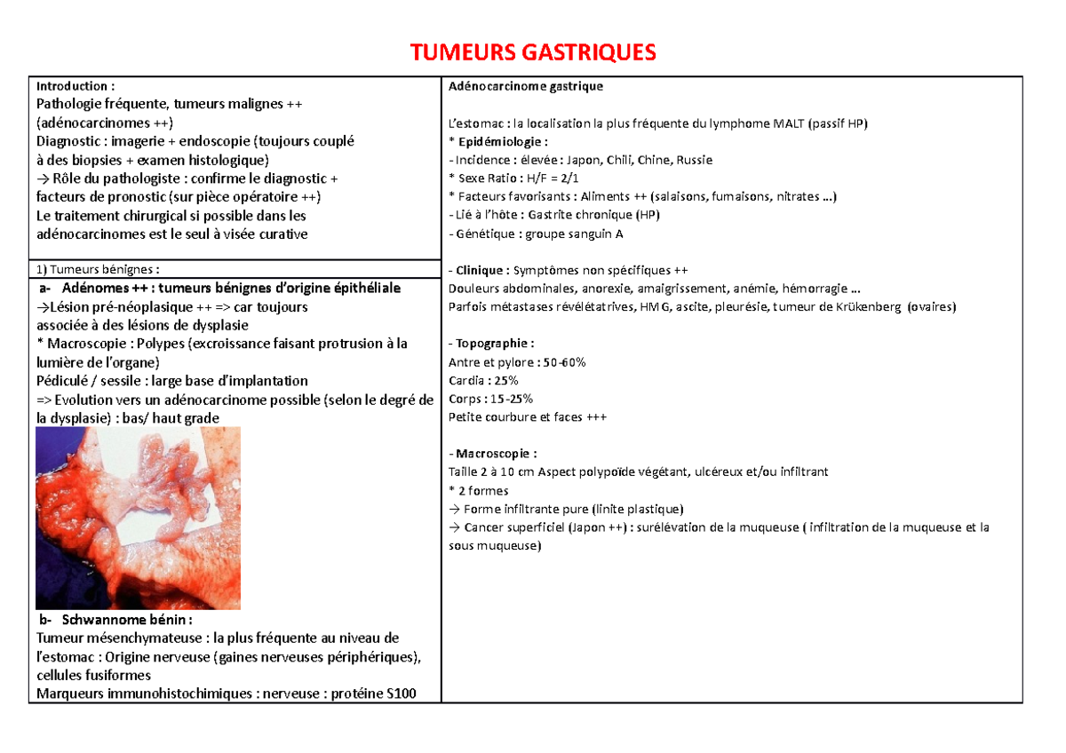 Tumeurs Gastriques - anapath - TUMEURS GASTRIQUES Introduction ...