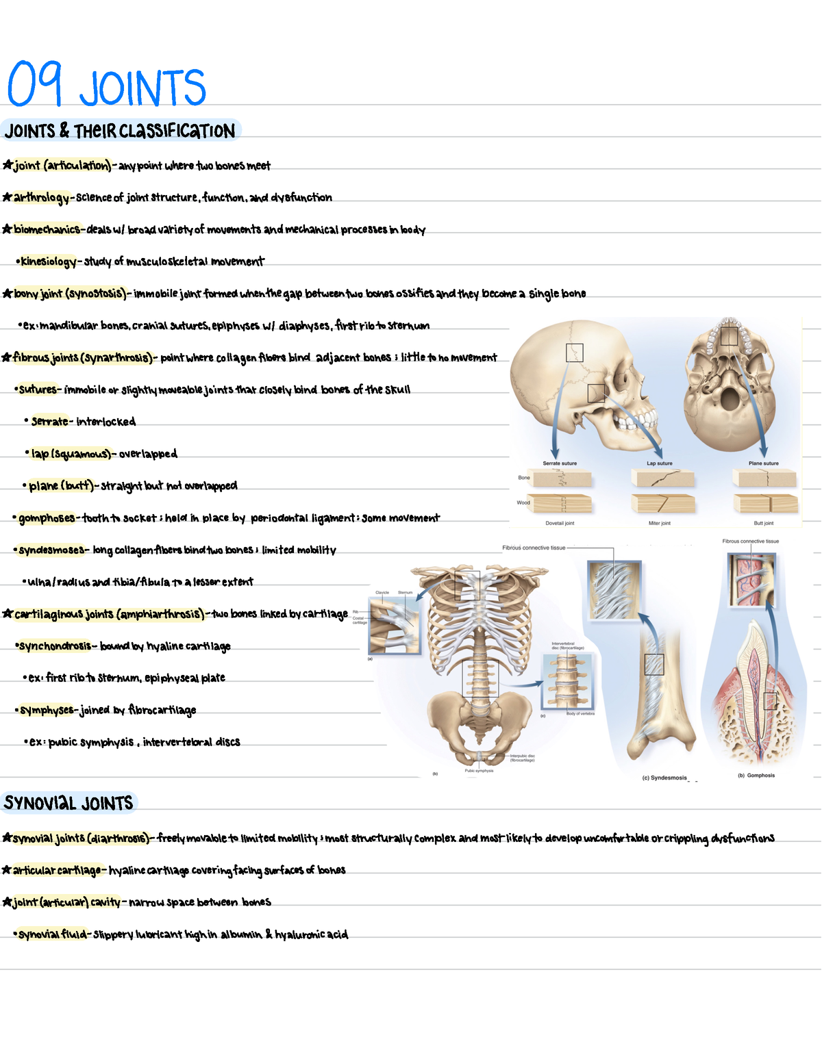 ANA 209 - Chapter 9: Joints (Handwritten Lecture + Textbook Notes) - 09 ...