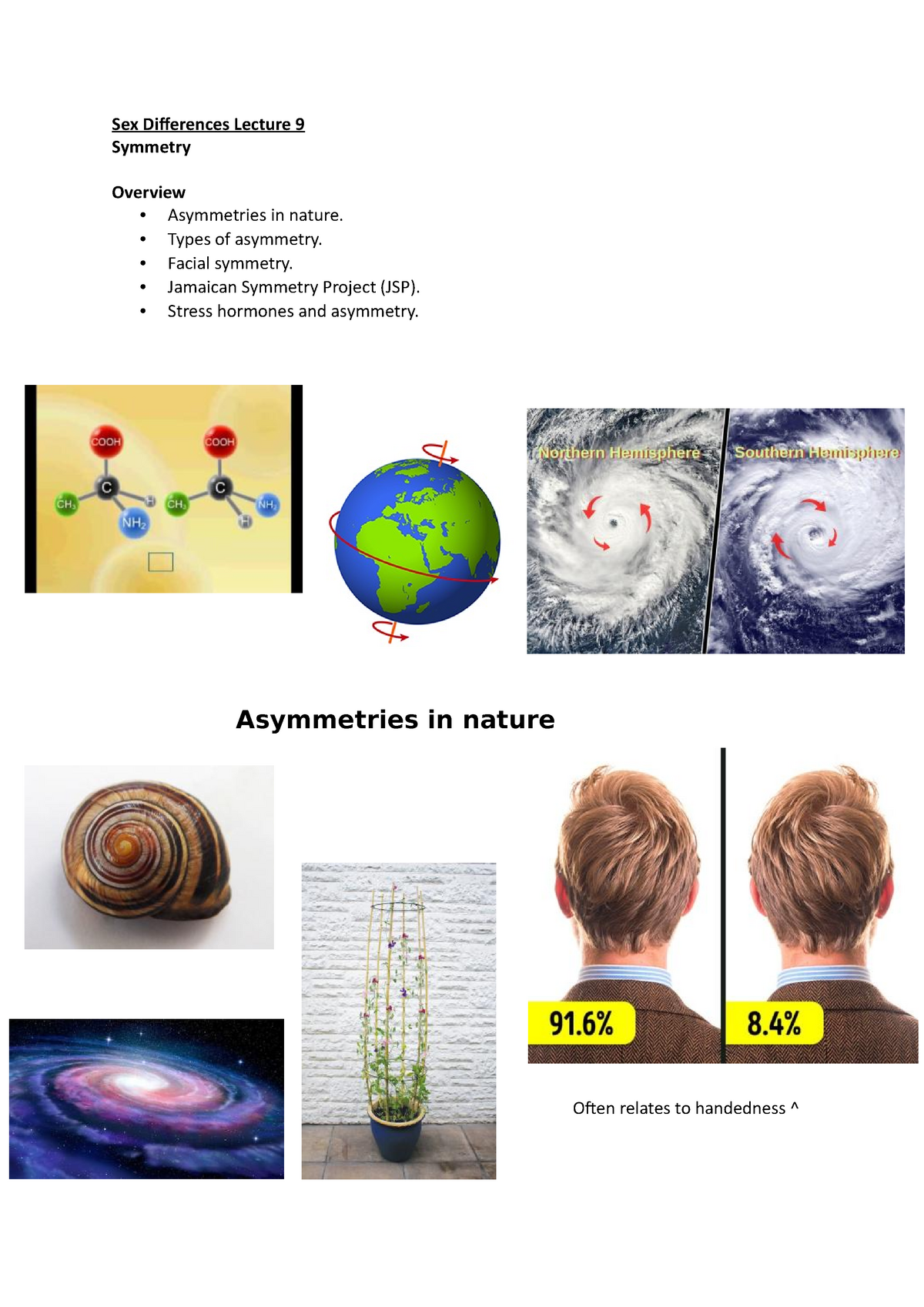 Sex Differences Lecture 9 Types Of Asymmetry Facial Symmetry Jamaican Symmetry Project 4179