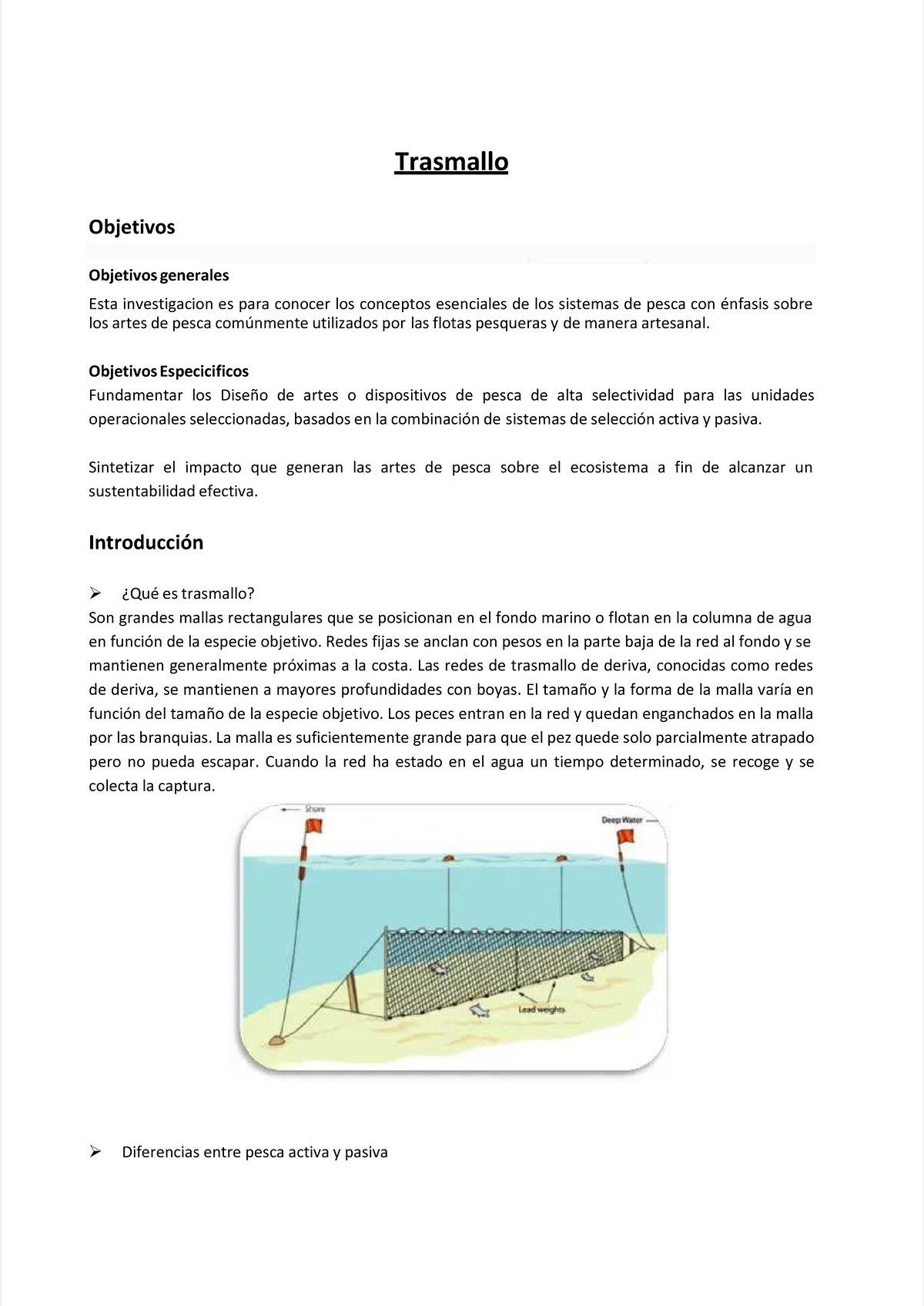 Pdf-trasmallo compress - TrasmalloTrasmallo ObjetivosObjetivos ...