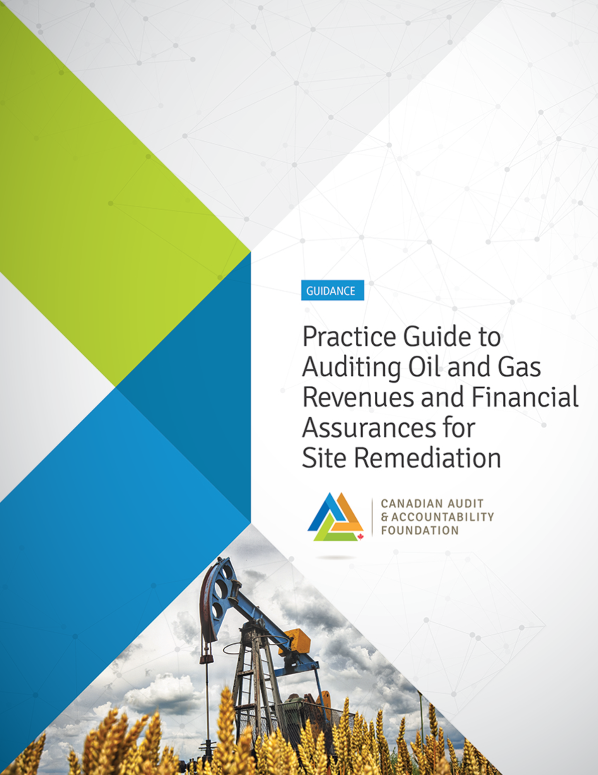 Practice Guide to Auditing Oil and Gas Revenues and Financial ...