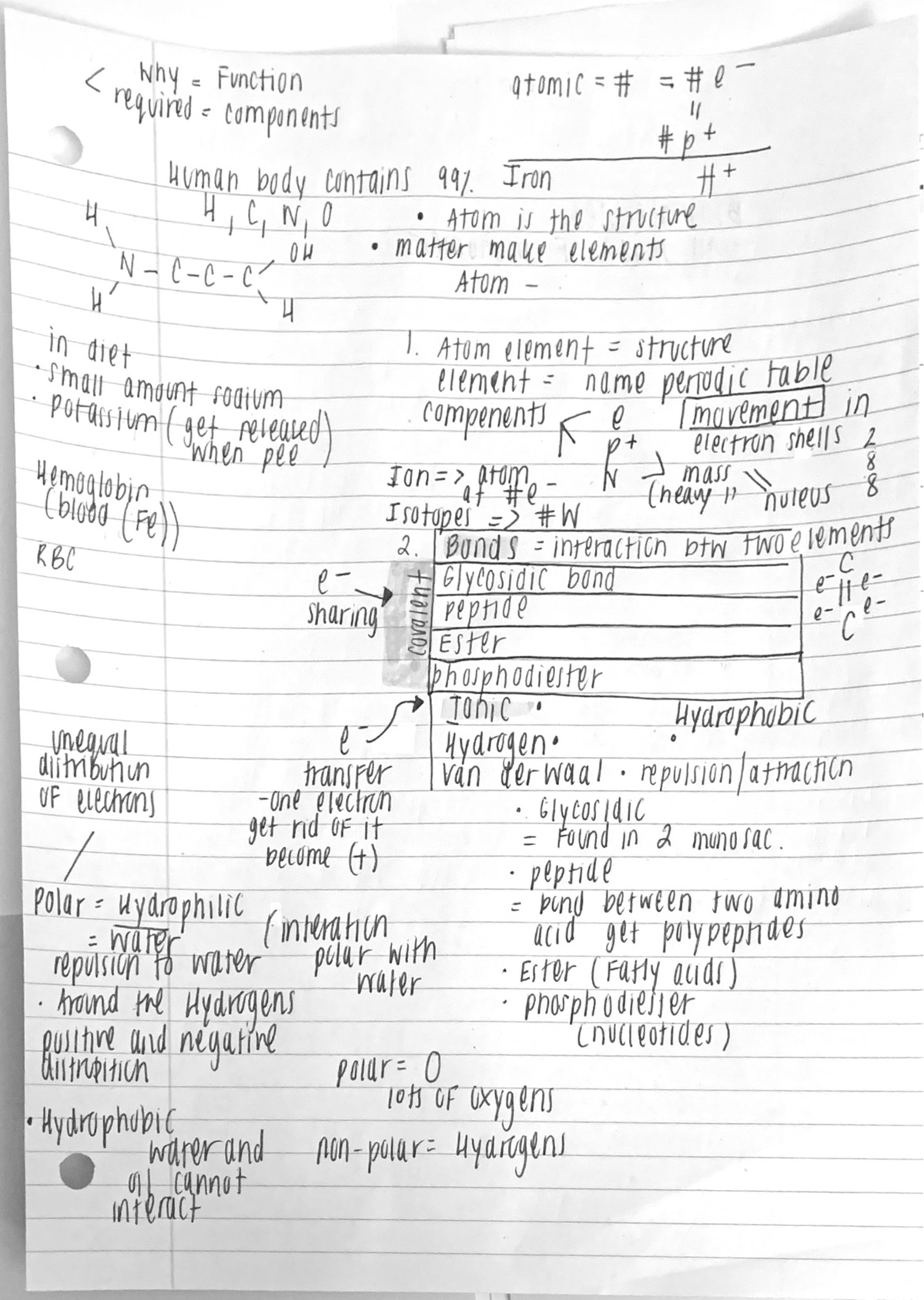 Chemical Bonds - Lecture notes - BIO 220 - Studocu