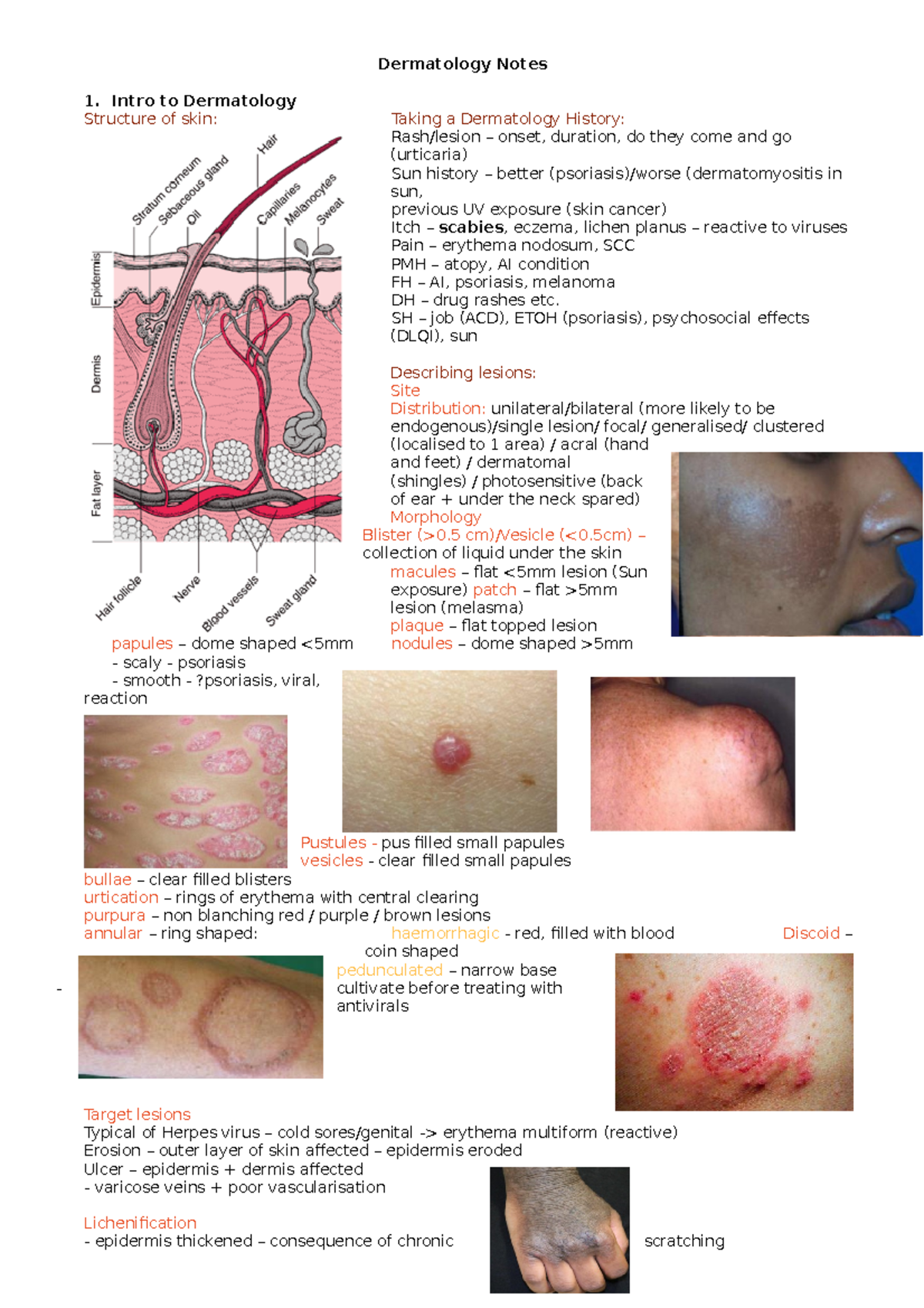 Dermatology Notes Dermatology Notes Intro To Dermatology Structure Of Skin Taking A