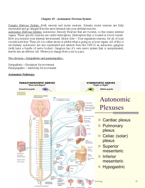 Temario 2 Cara y Cuello - CRÁNEO La línea de Poirier separa la calota ...