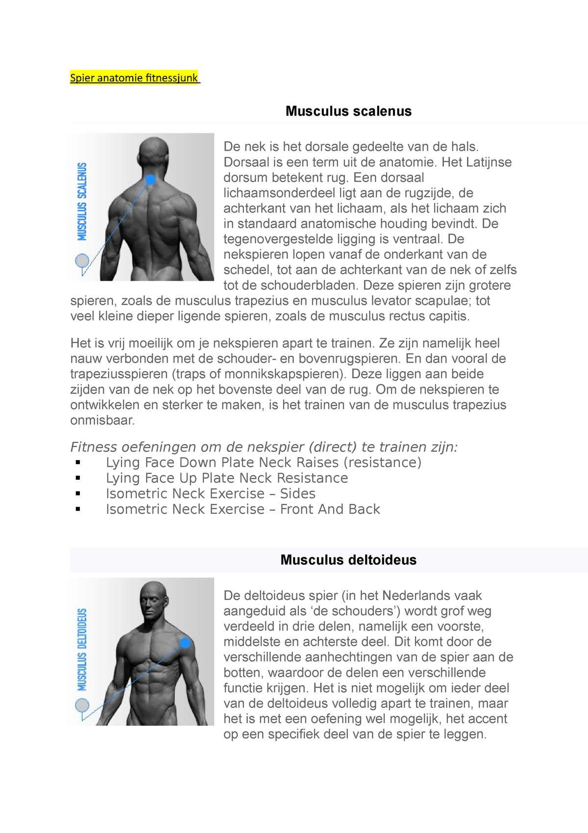 Altaar Hoe dan ook Levendig Spier anatomie en oefeningen - Spier anatomie fitnessjunk Musculus scalenus  De nek is het dorsale - Studeersnel