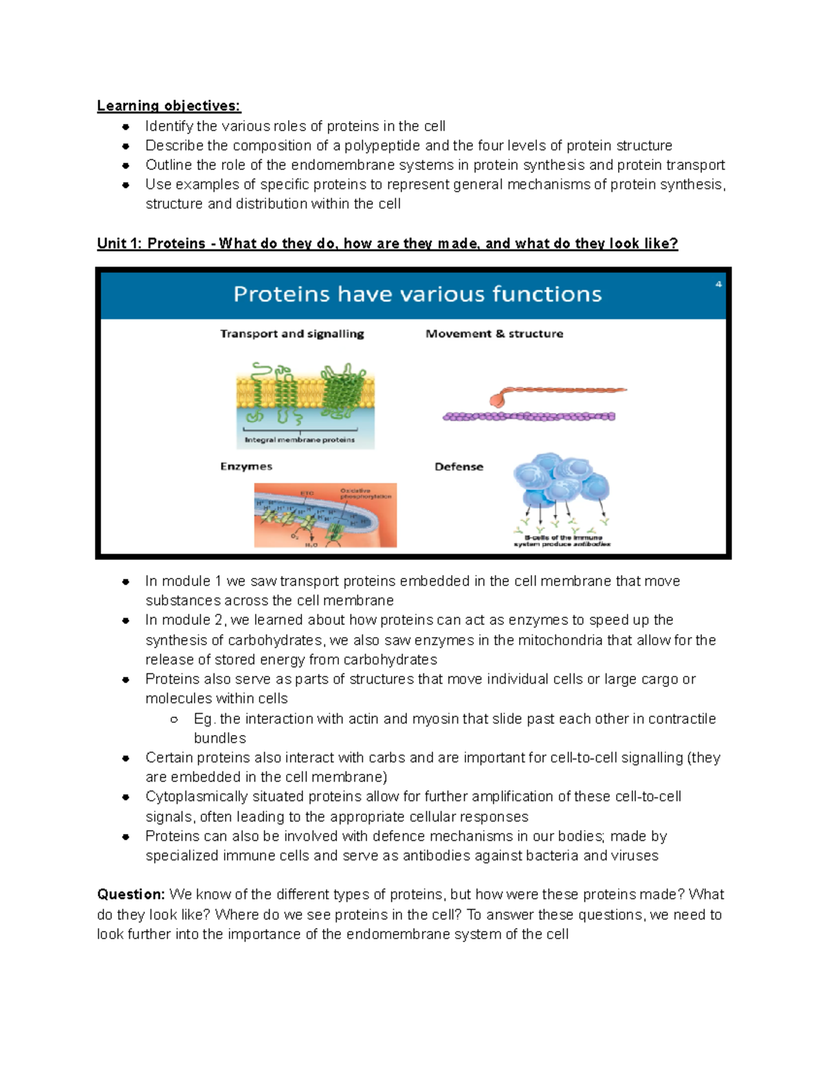 Theme 1 The Structure of the Cell, Module 3 Proteins - Learning ...