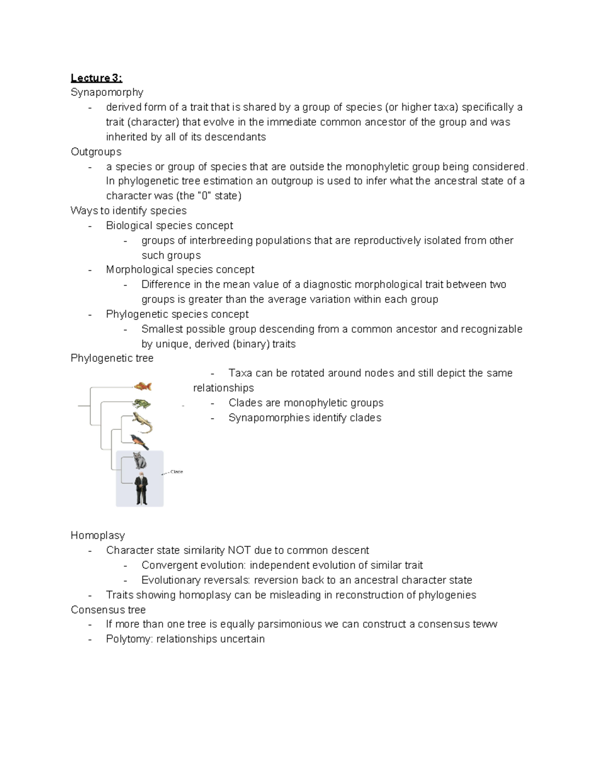 biol-2400-lecture-summaries-lecture-3-synapomorphy-derived-form-of