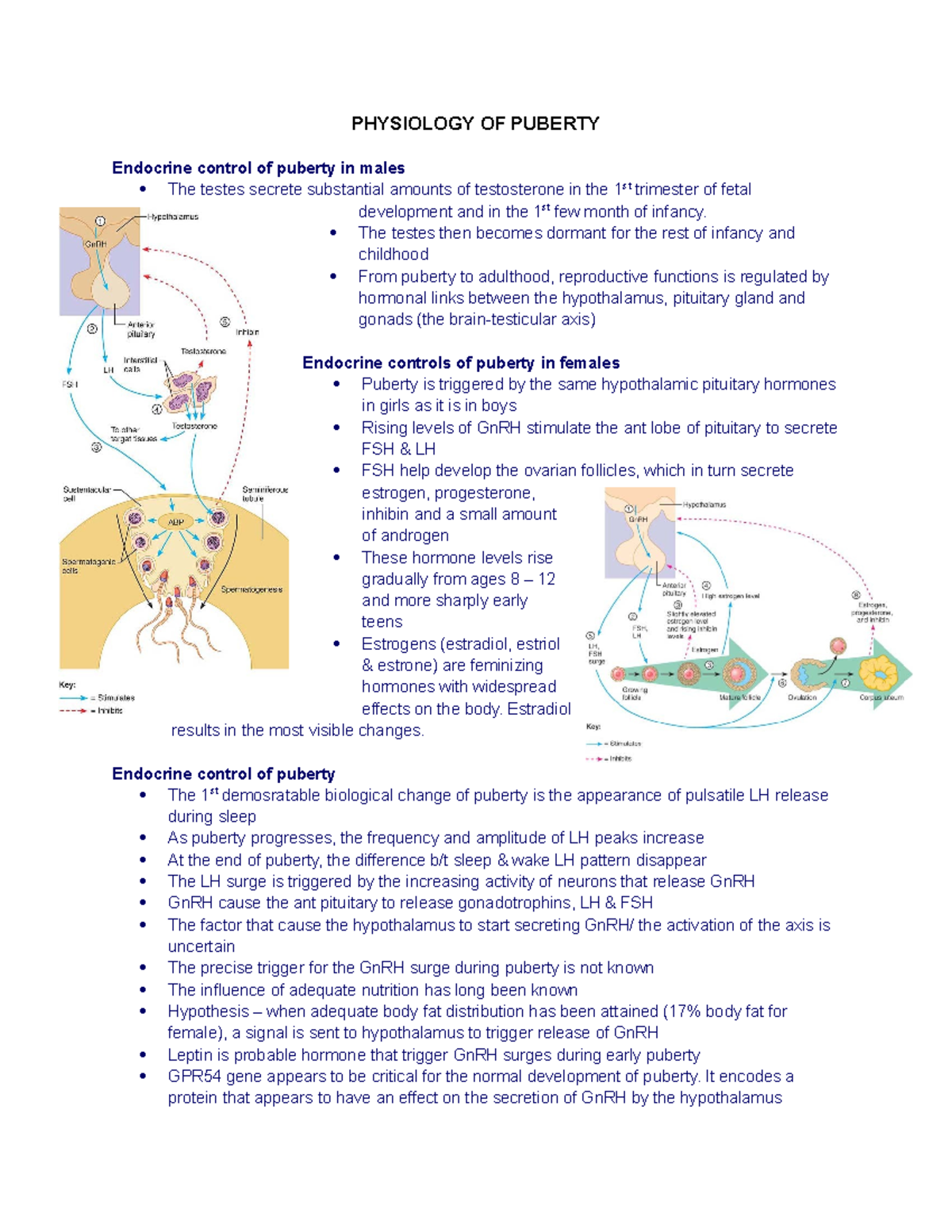 Puberty - PHYSIOLOGY OF PUBERTY Endocrine control of puberty in males ...