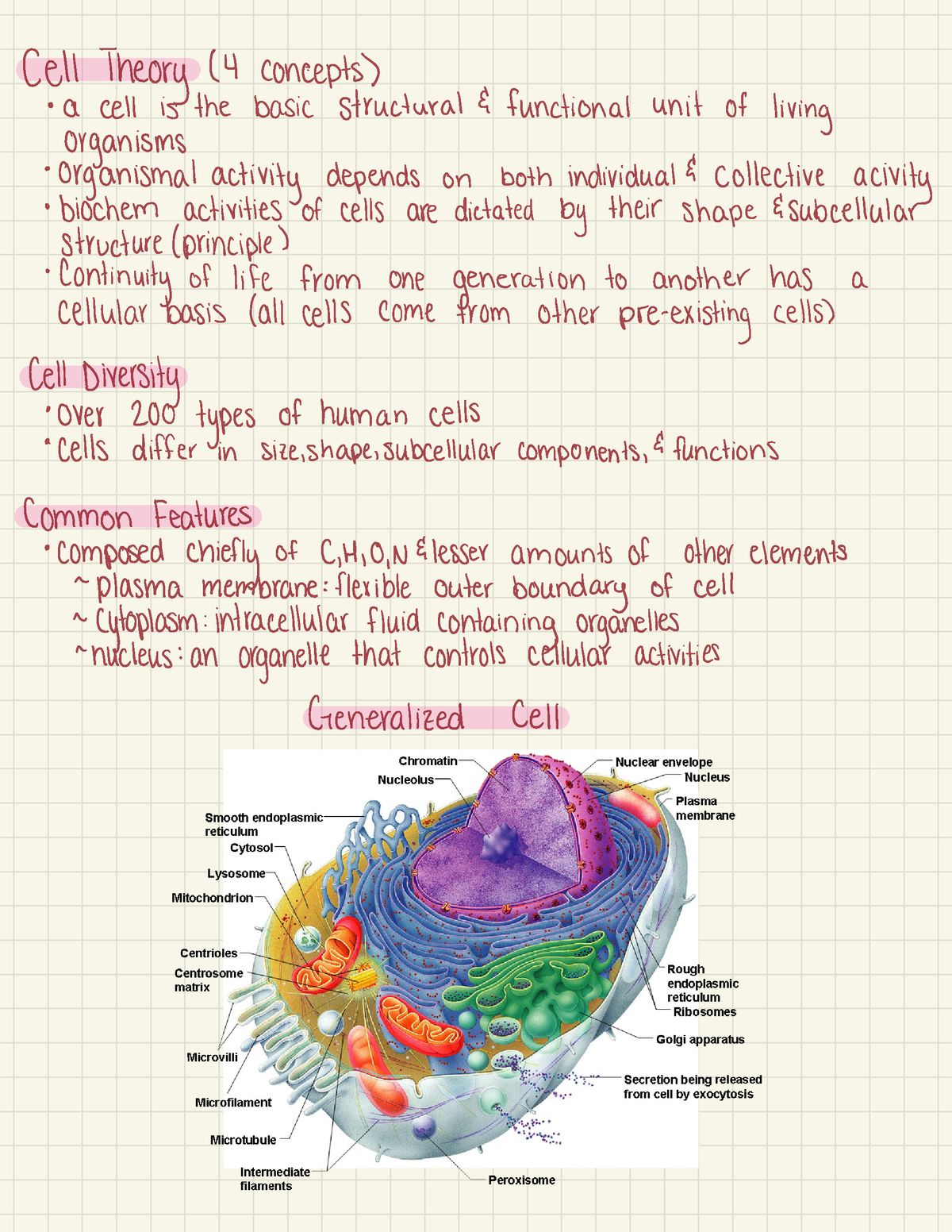 Cells 1 (BIO-107) - Cell Theory 14 concepts ) a cell is the basic ...