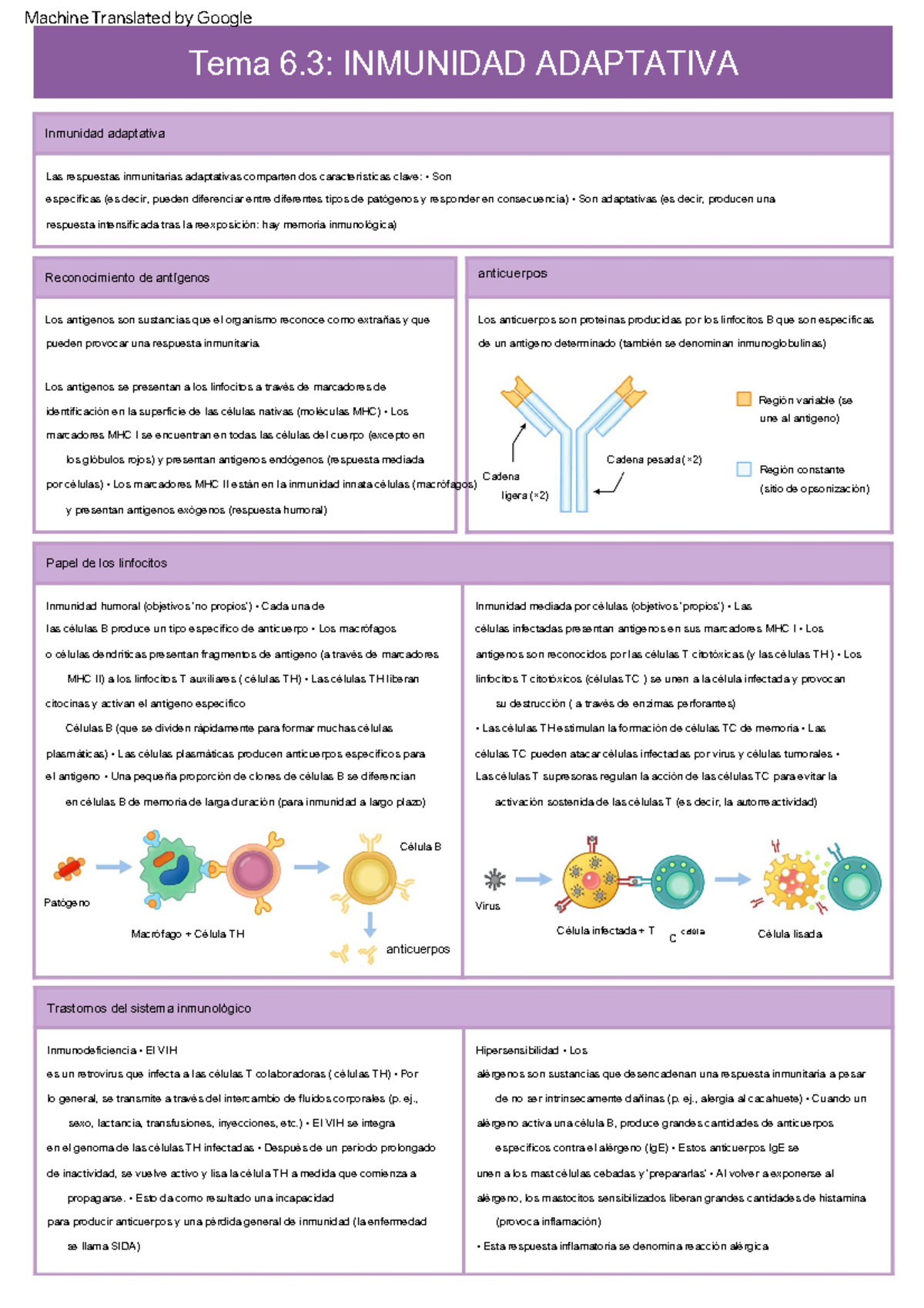 6.3 Adaptive Immunity - Bioninja Traducido - Inmunodeficiencia • El VIH ...