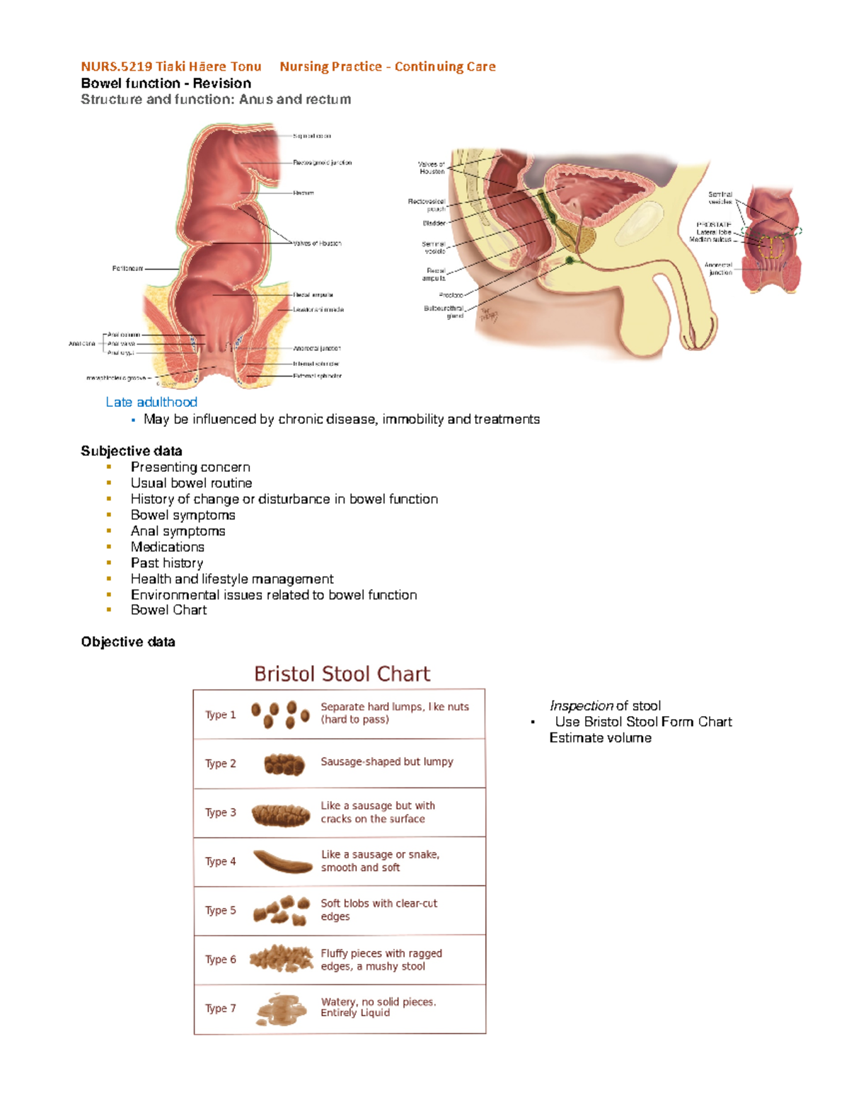 Bowel Assessment - ....... - NURS Tiaki Hāere Tonu Nursing Practice ...