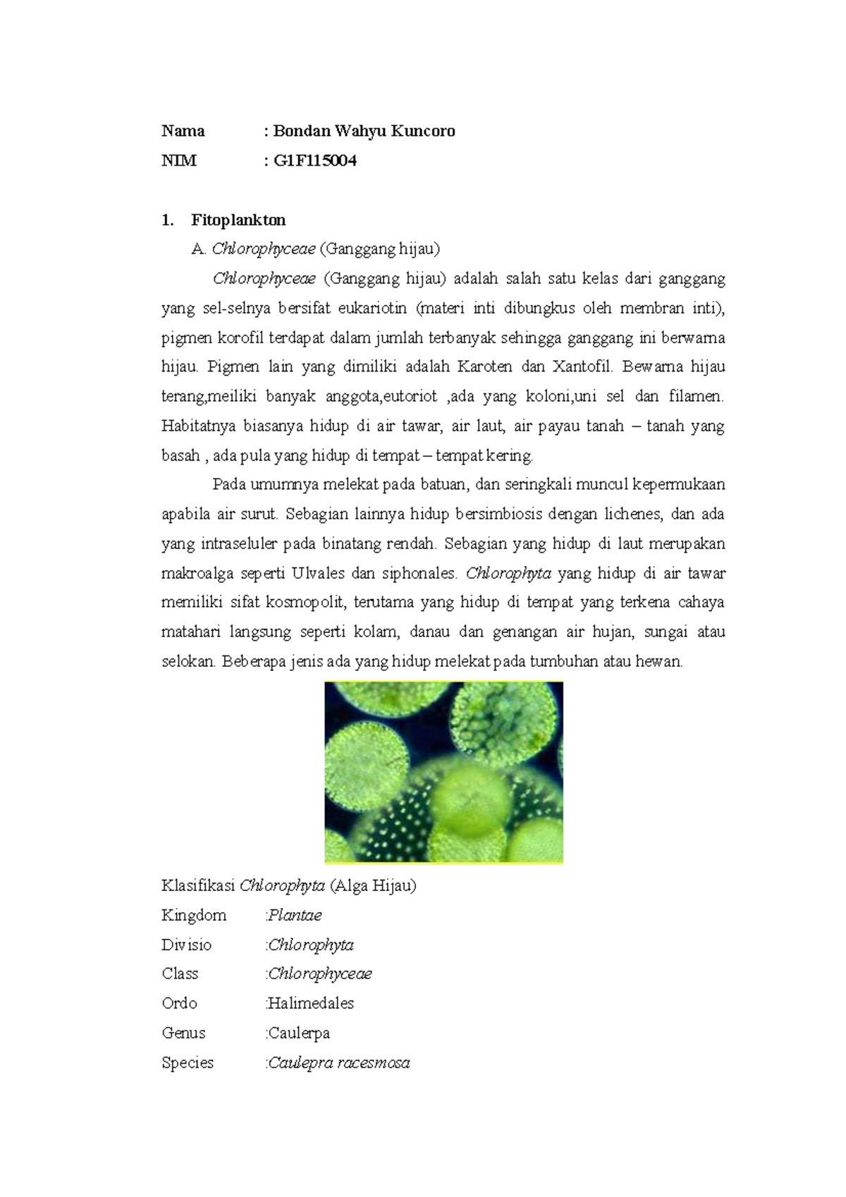 Plankton (Fitoplankton dan Zooplankton) - Nama : Bondan Wahyu Kuncoro ...