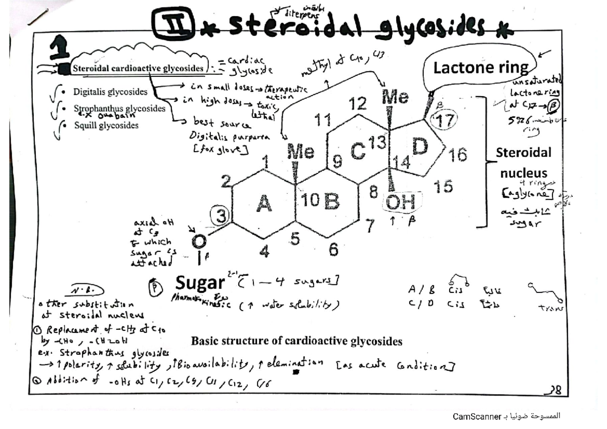 2nd Glycoside - Pharmacognosy (3) - Studocu