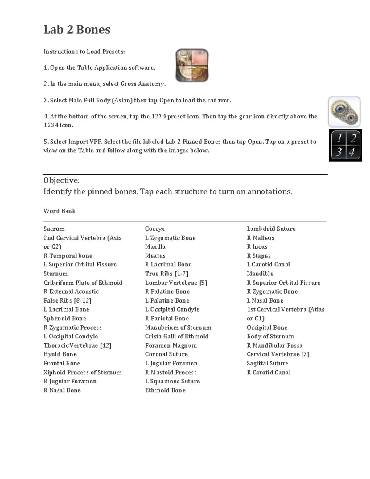 lab-2-bones-worksheet-rada-lab-2-bones-instructions-to-load-presets