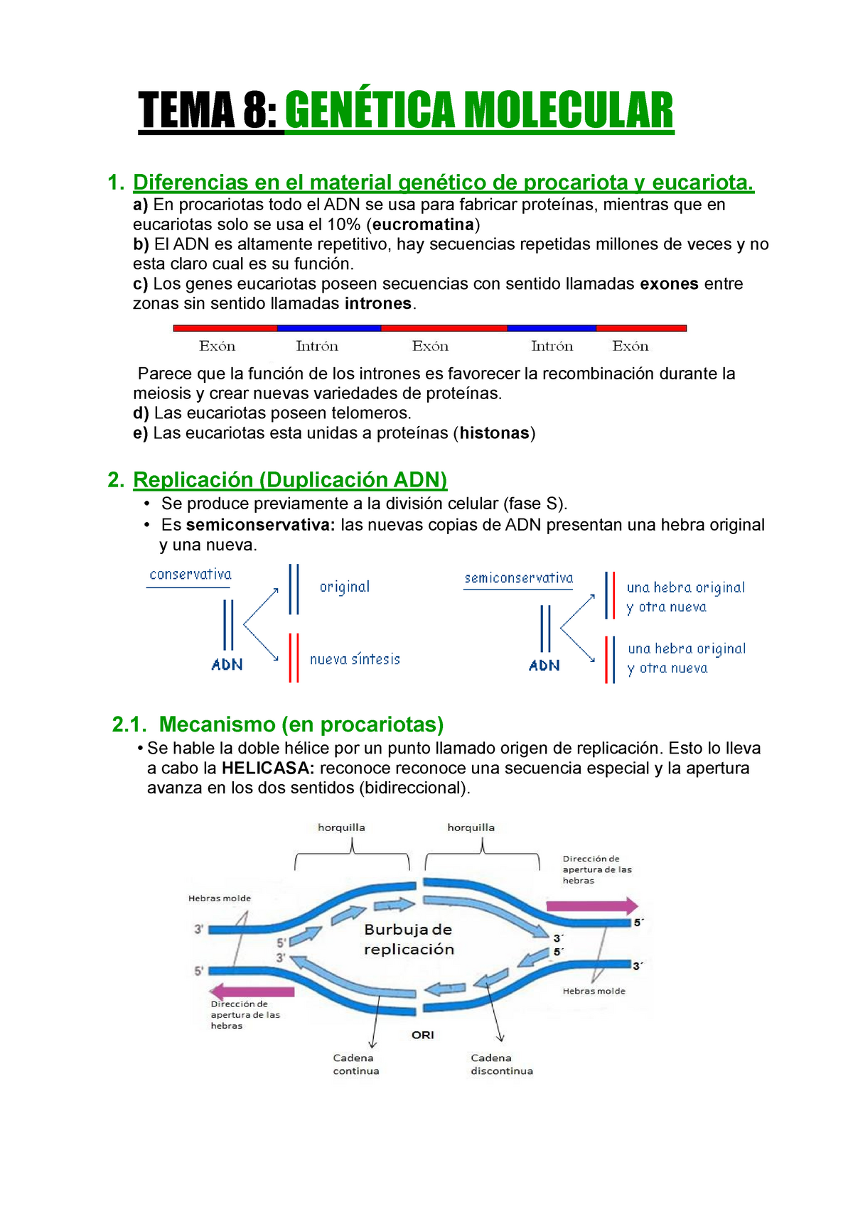 Genética Molecular - Segundo De Bachillerato - TEMA 8: GENÉTICA ...