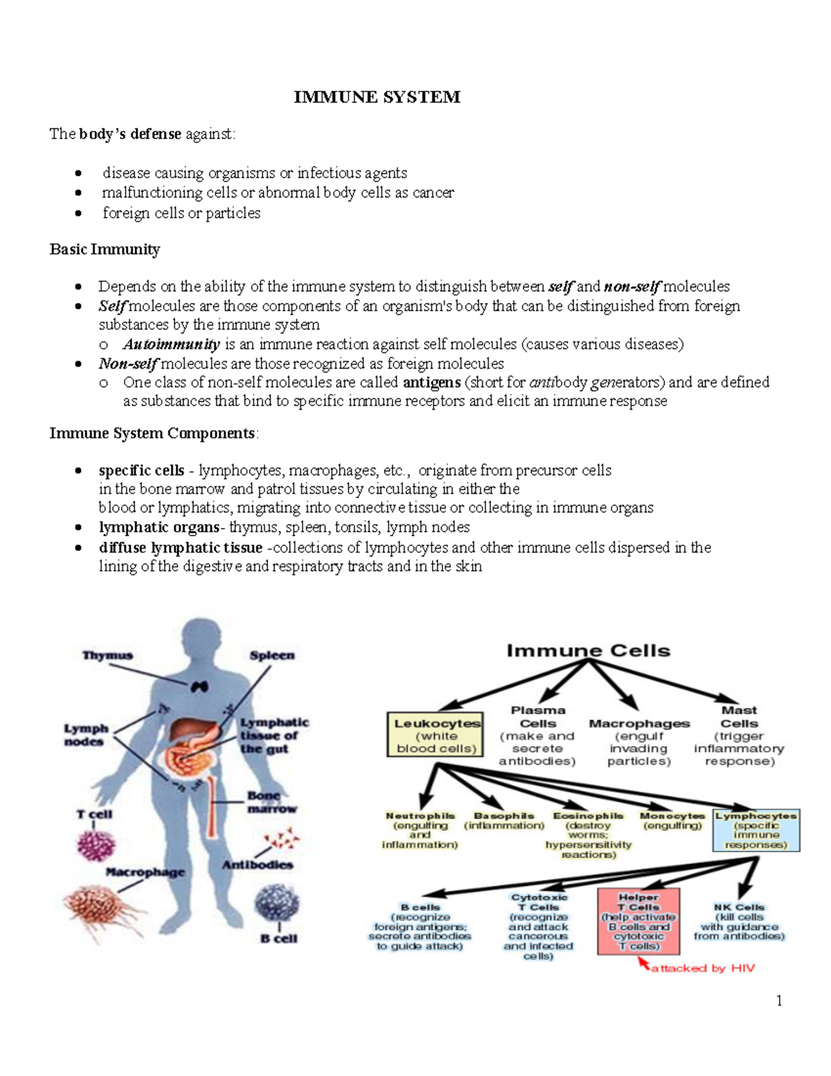 2018 Immune System Handout - IMMUNE SYSTEM The Body’s Defense Against ...