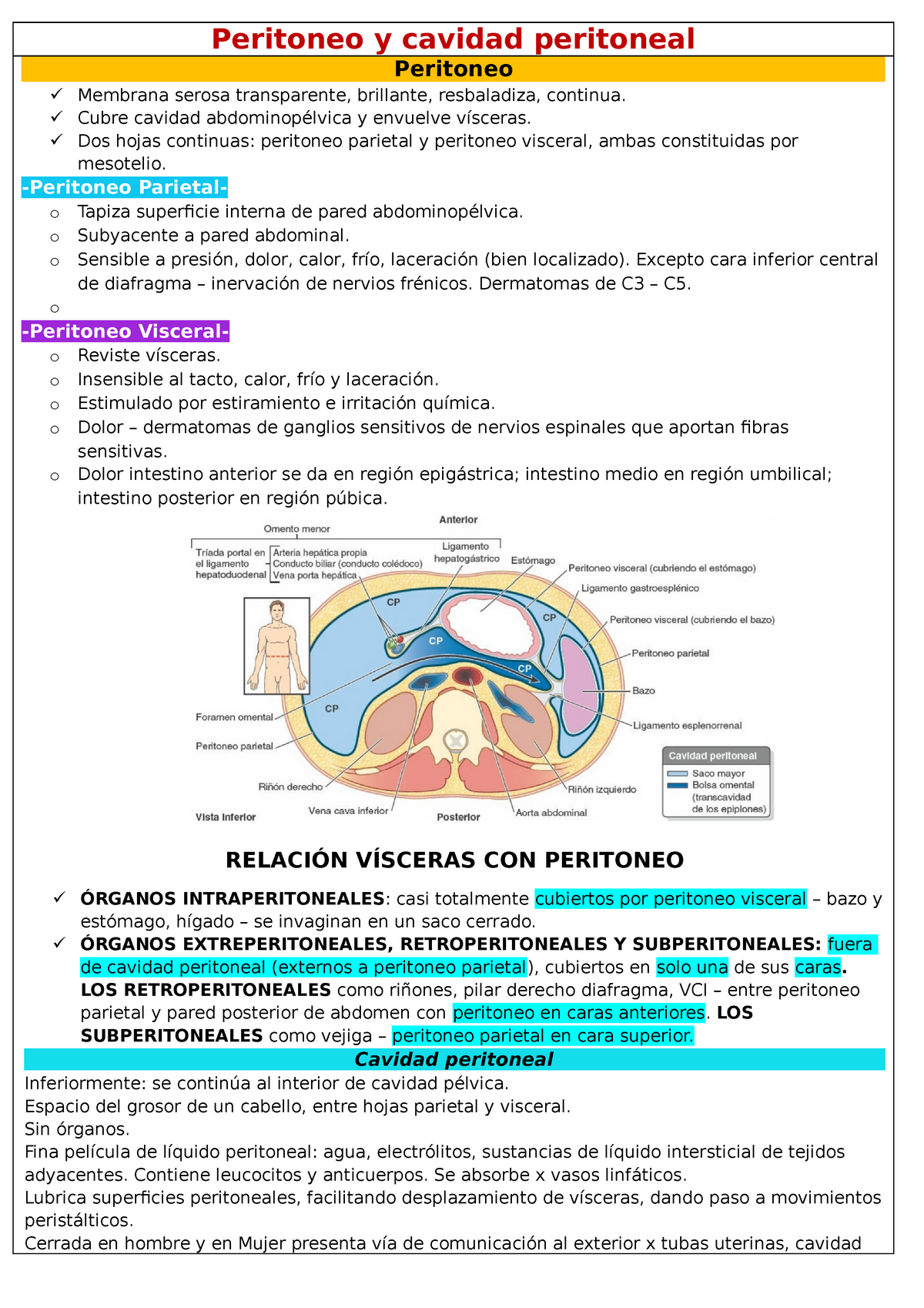 peritoneo visceral vs peritoneo parietal