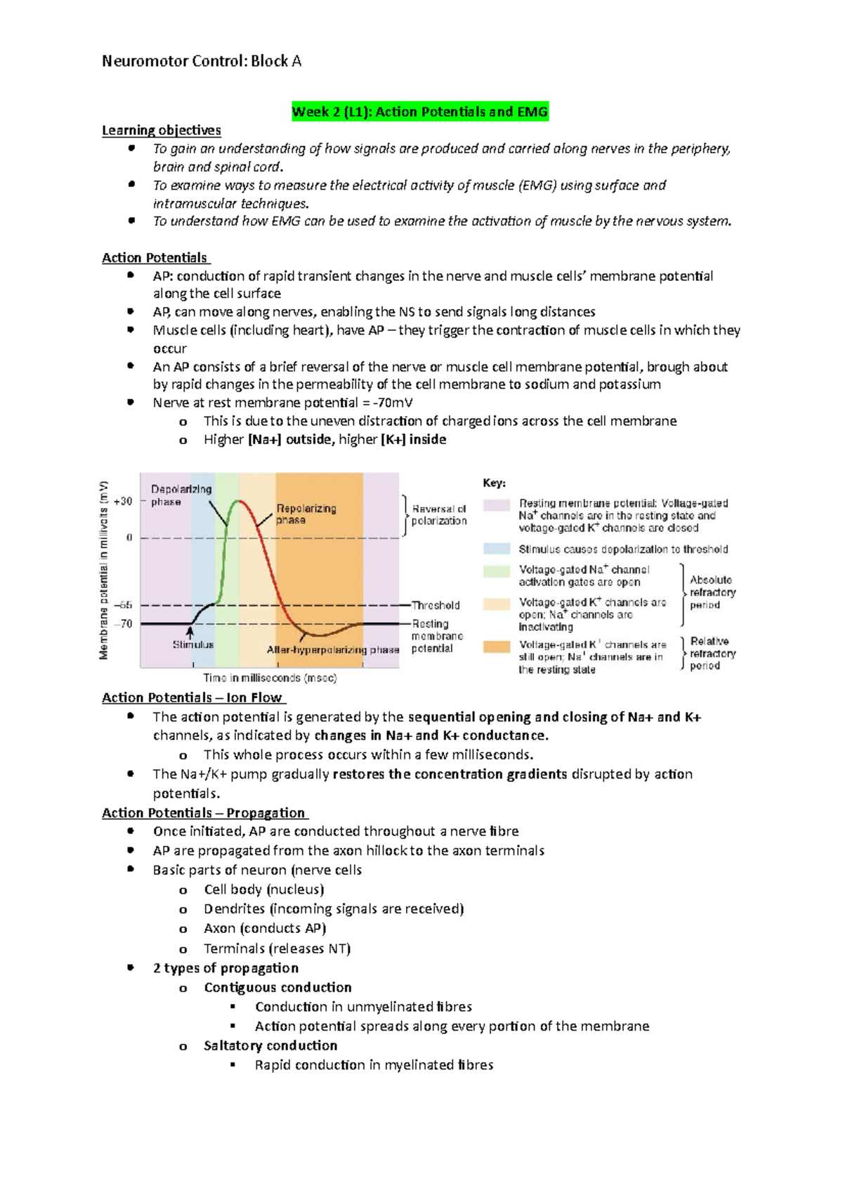 Lecture notes (module A) - Week 2 (L1): Action Potentials and EMG ...