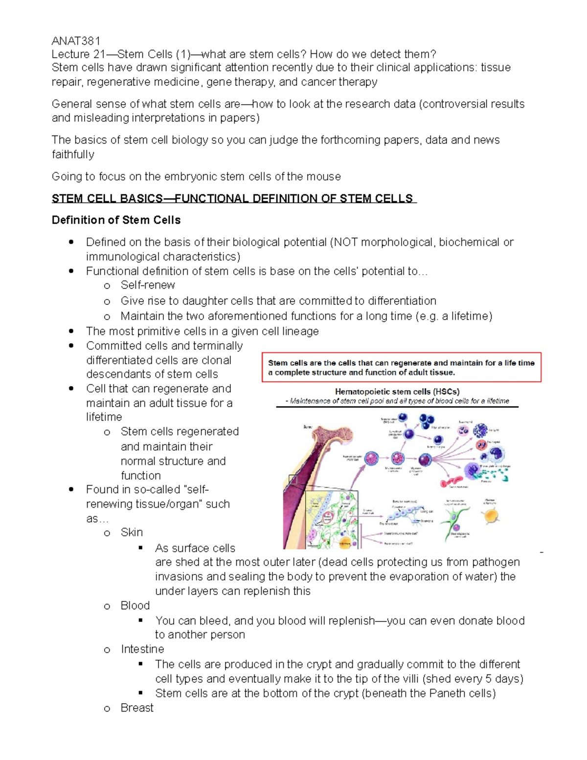 21 stem cells section intro - Lecture 21—Stem Cells (1)—what are stem ...