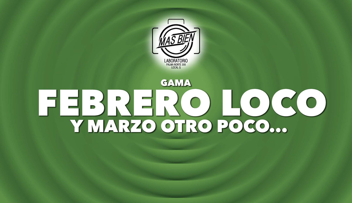 Febrero Loco 1a Parte - manual - Formulación y evaluación de proyectos ...