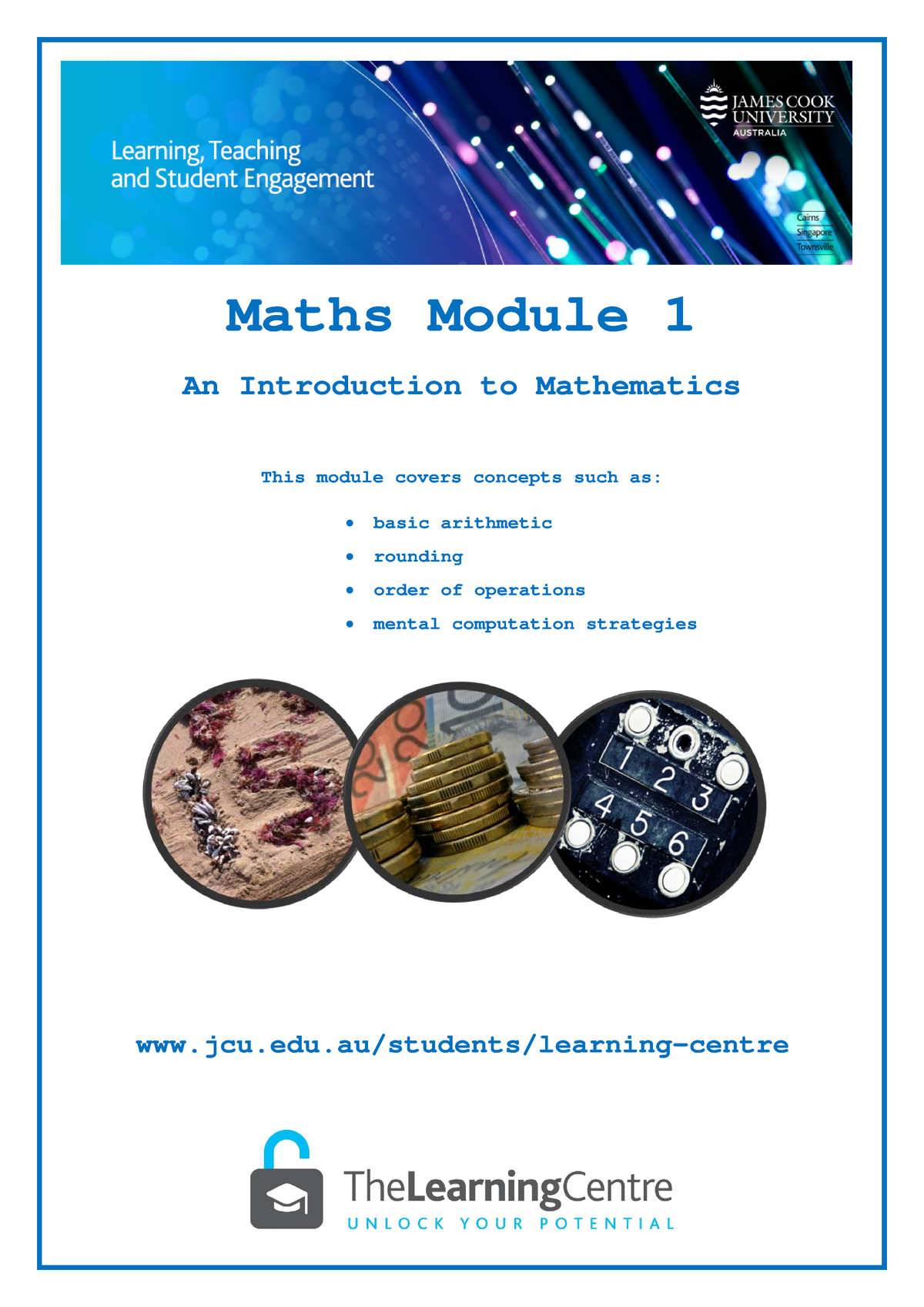 problem solving mathematical investigation and modelling module