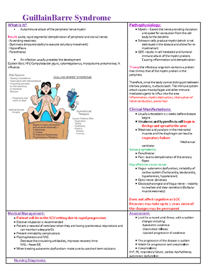 Guillain Barre Syndrome Studocu
