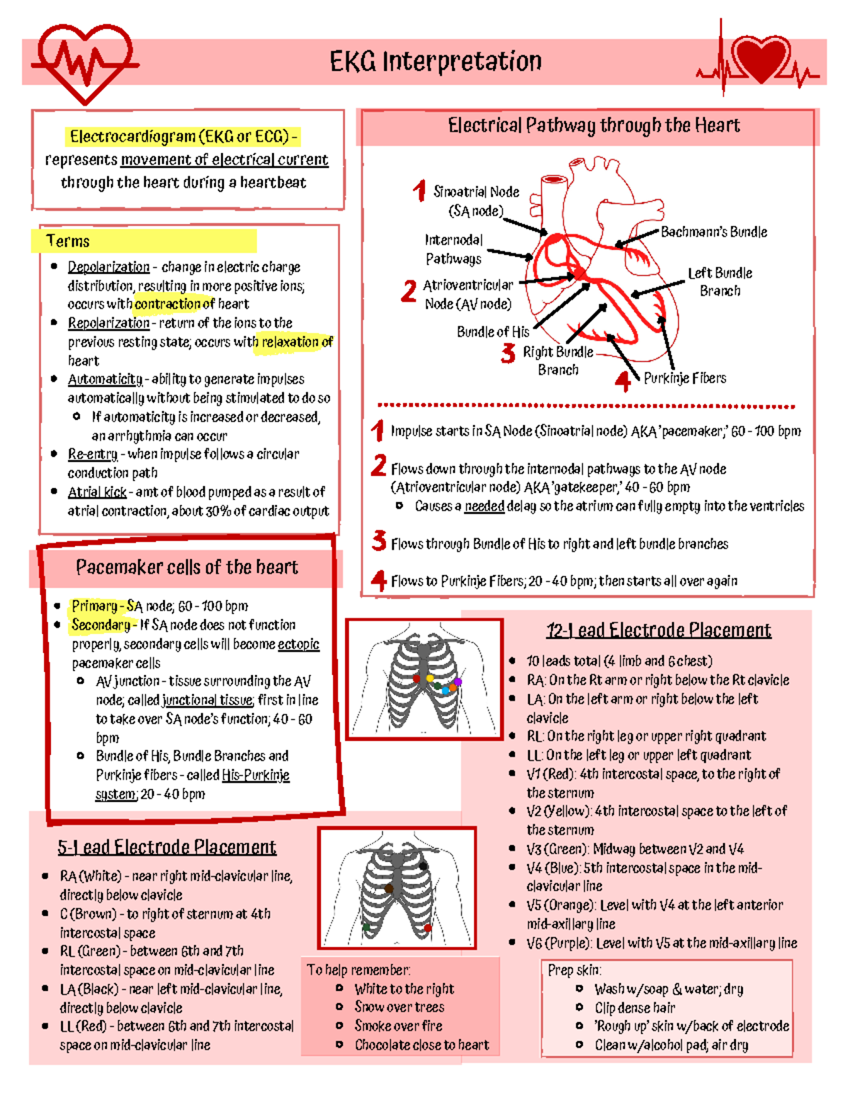 EKG Interpretation: Electrocardiogram Basics - Studocu